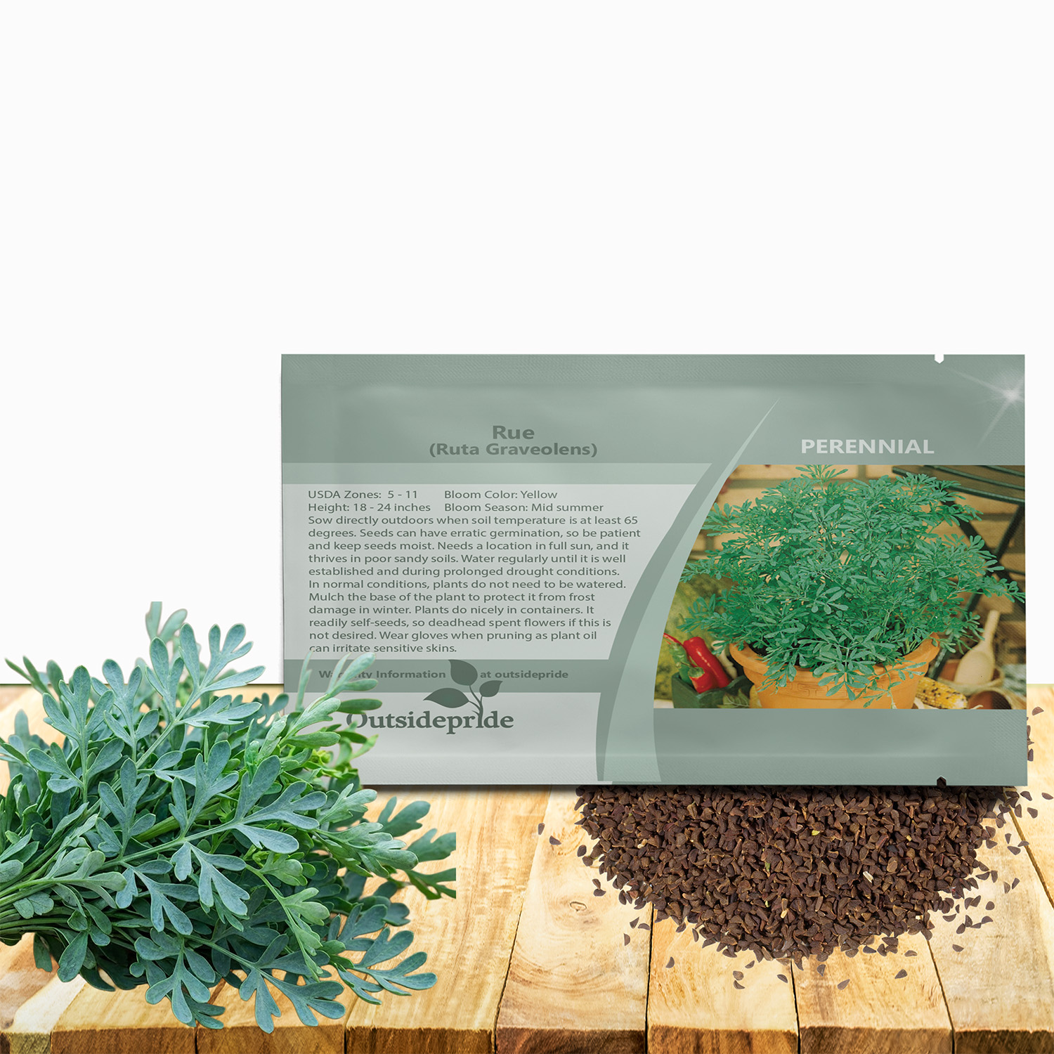 Rue Herb Seed Packet