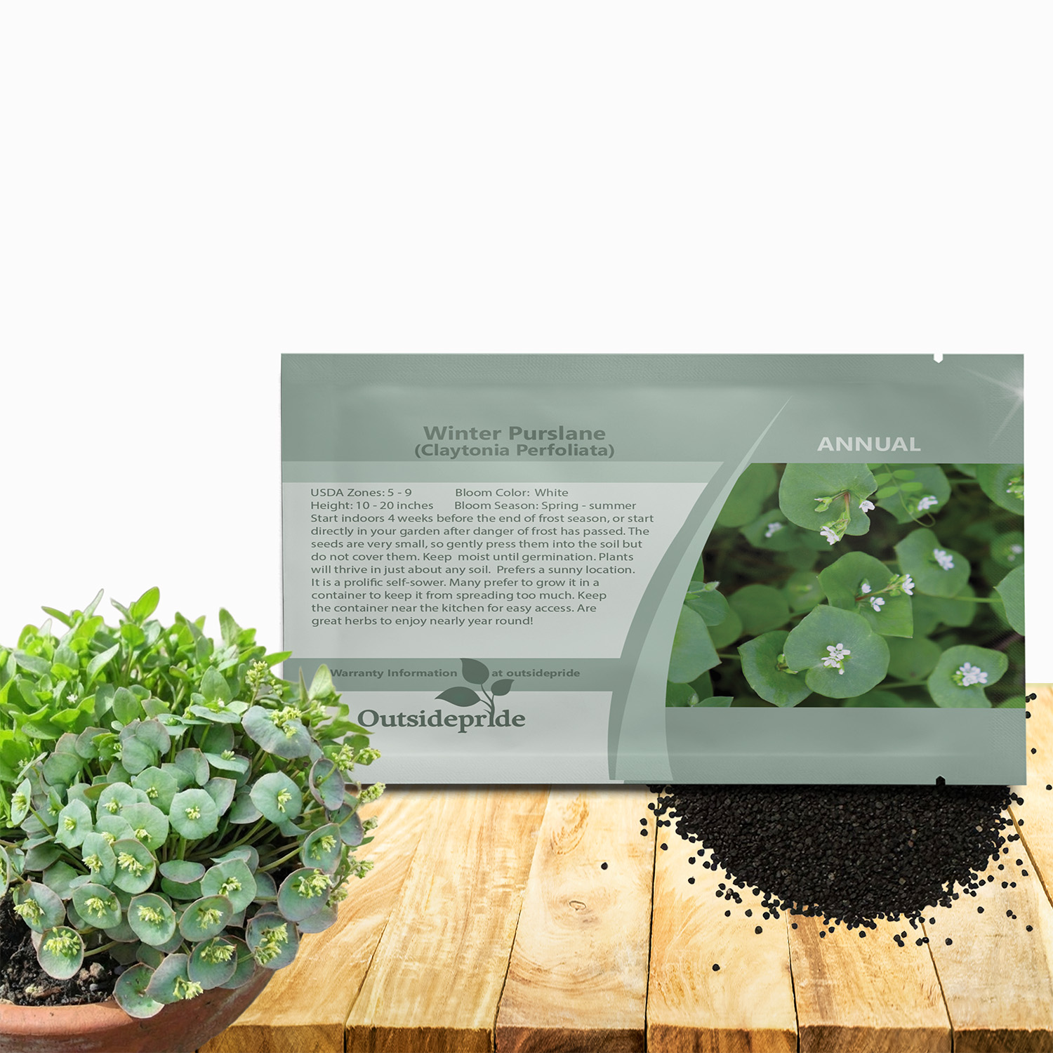 Claytonia Winter Purslane Seed Packets
