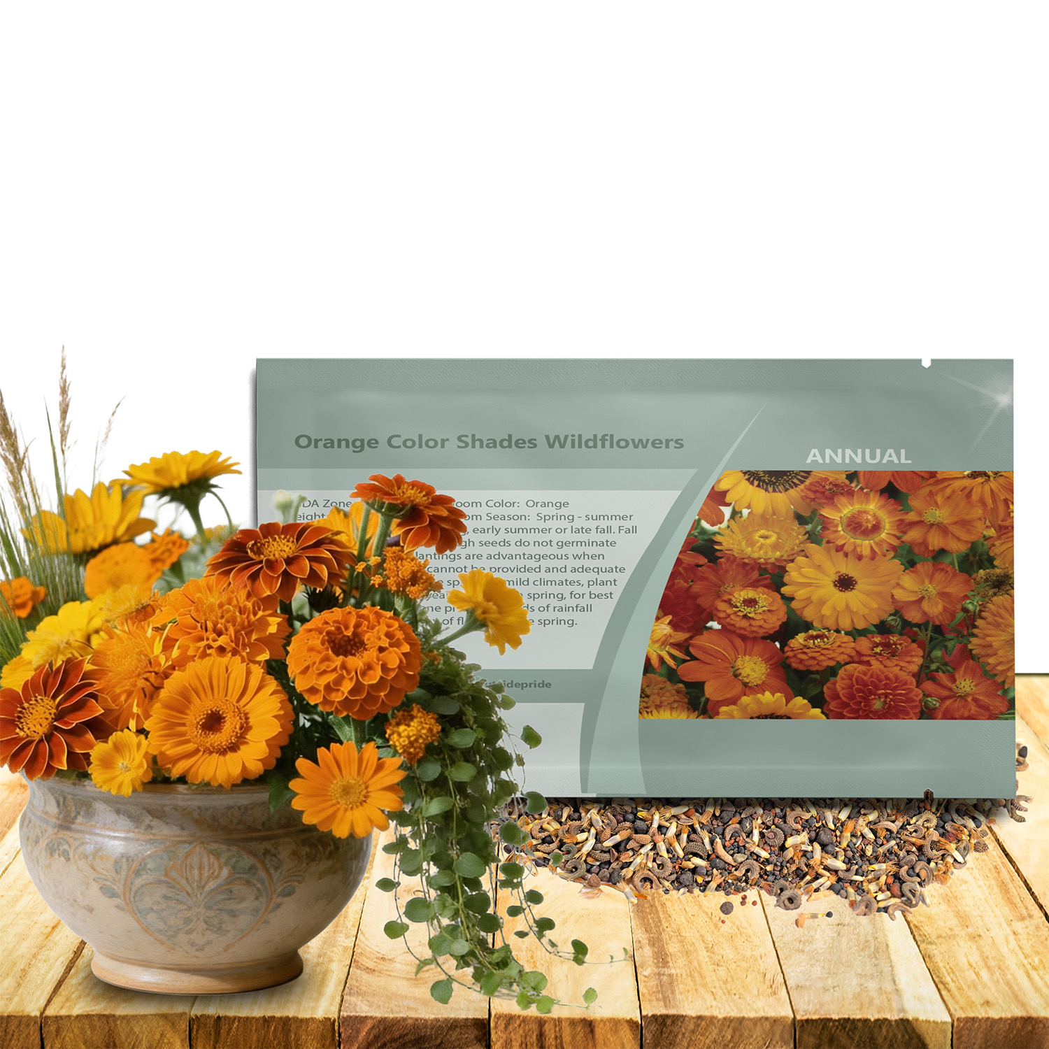 Orange Flowers Seed Packet 