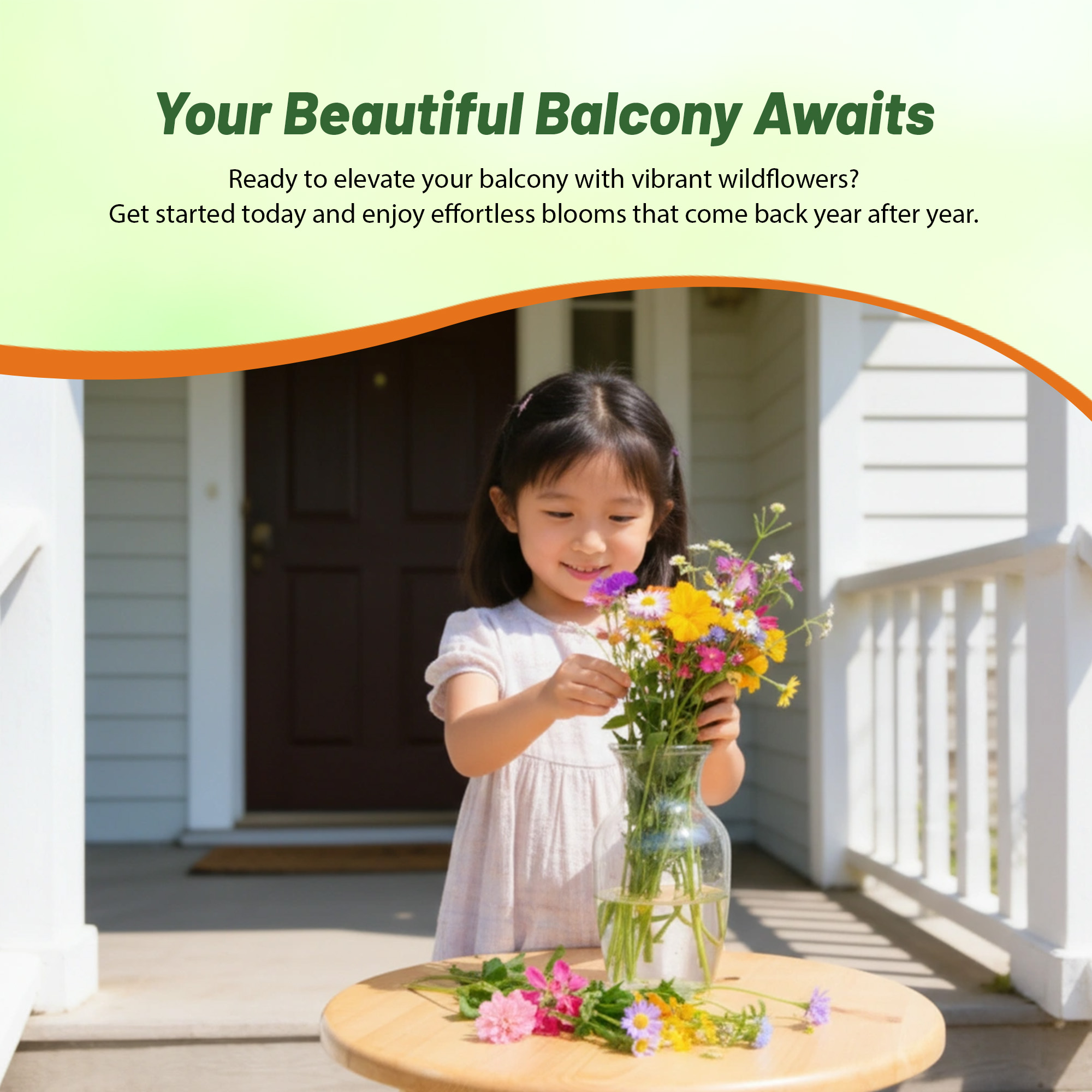 Apartment Wild Flower Seeds