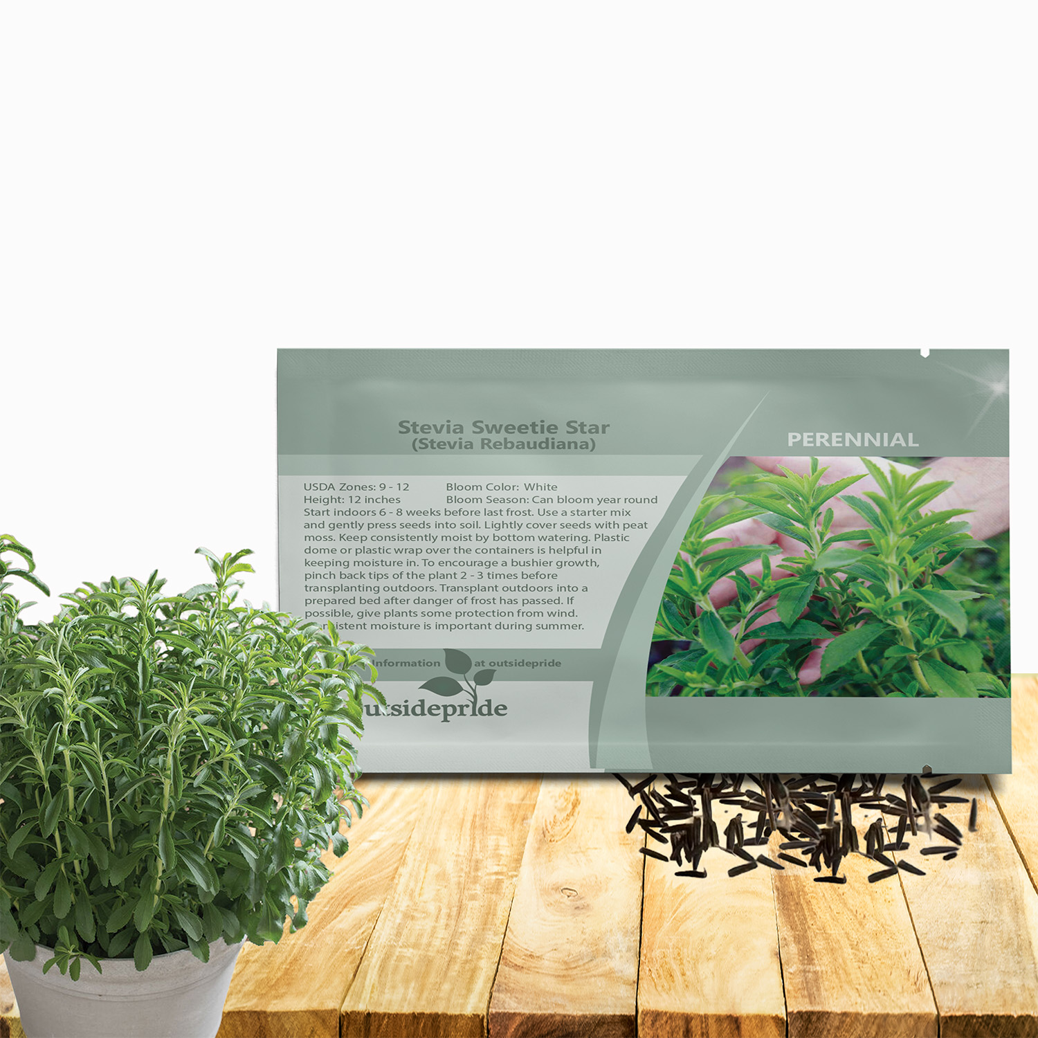 Stevia Sweetie Sugar Seed Packet