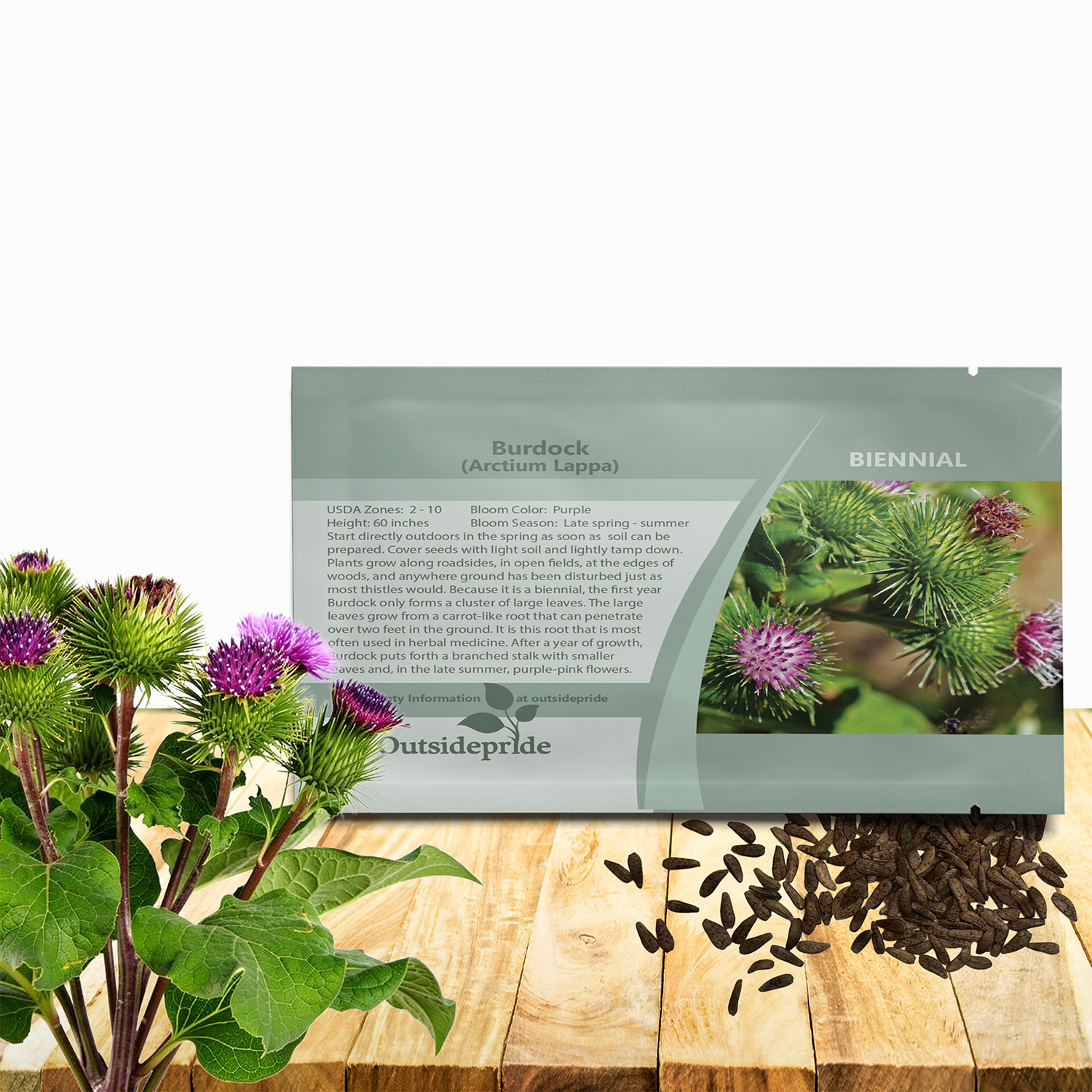 Great Burdock Seed Packet