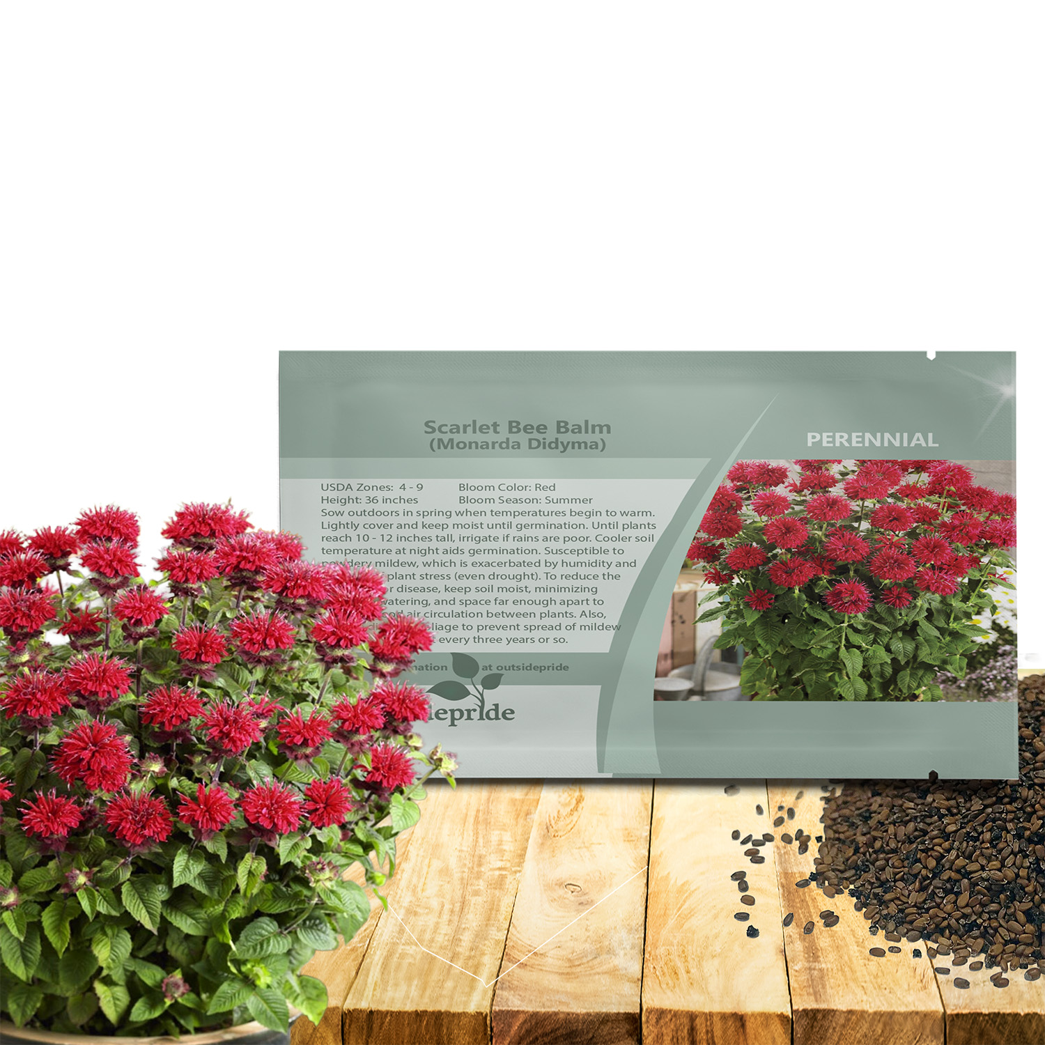 Monarda Red Shades Seed Packet