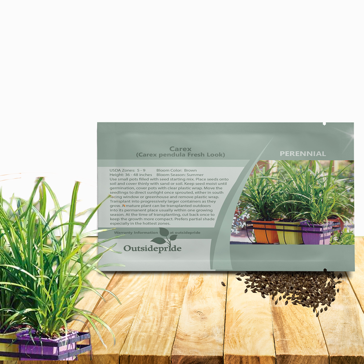 Carex Fresh Look Seed Packet