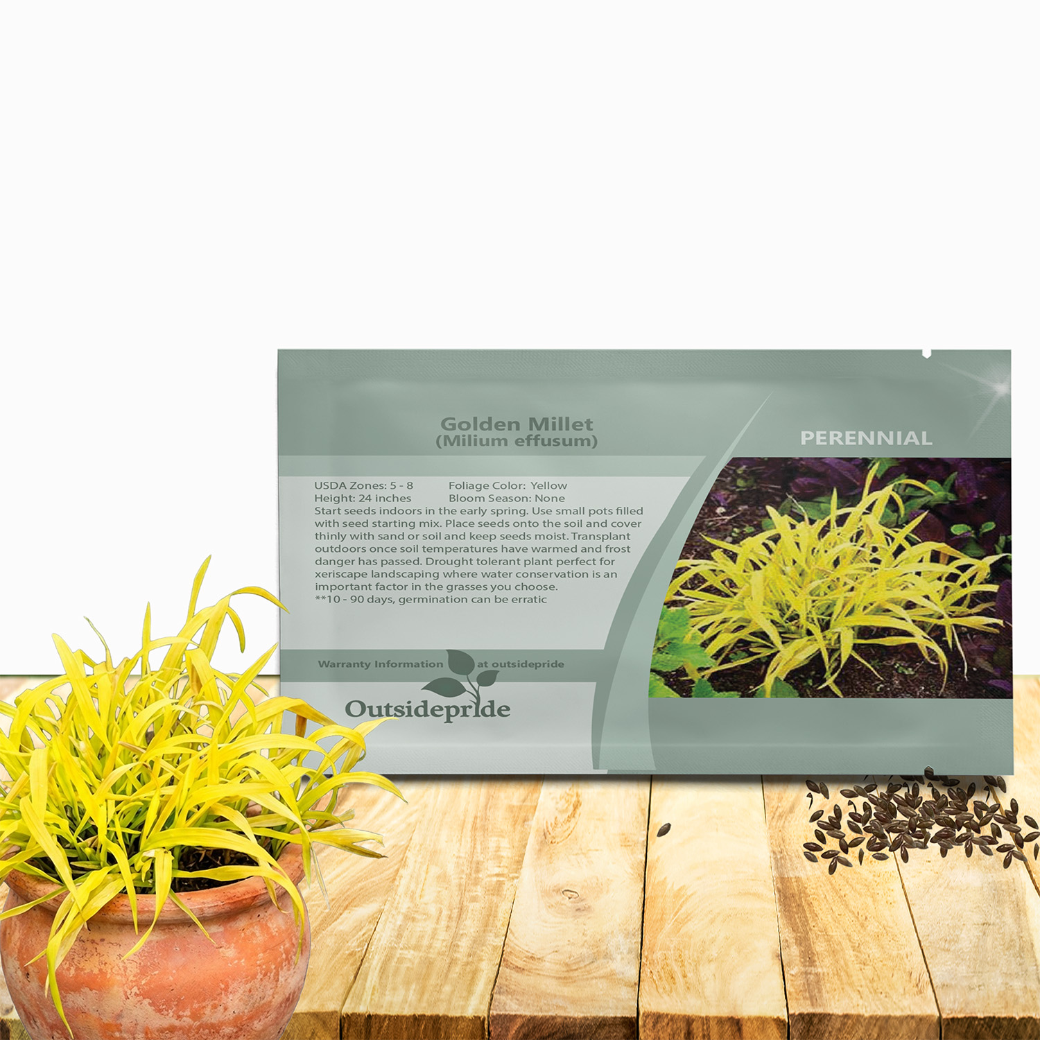 Golden Millet Seed Packet