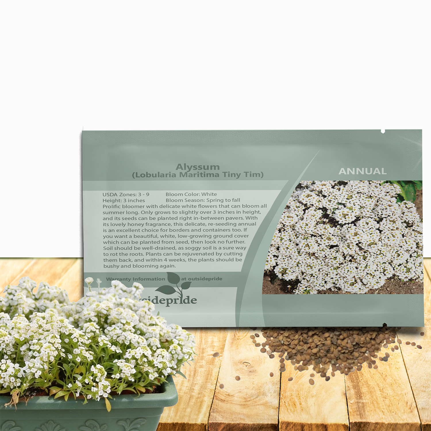Alyssum Tiny Tim Seed Packet