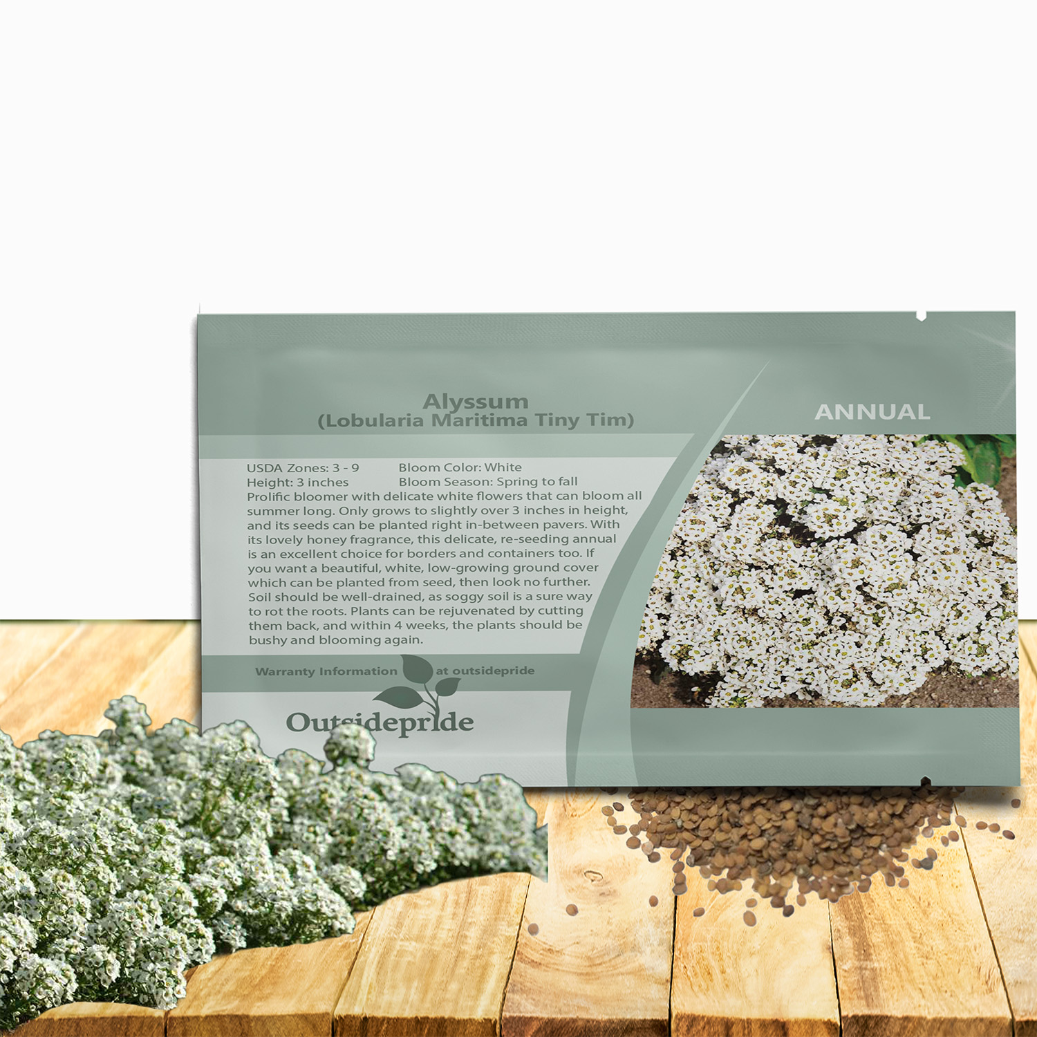 Alyssum Tiny Tim Seed Packet