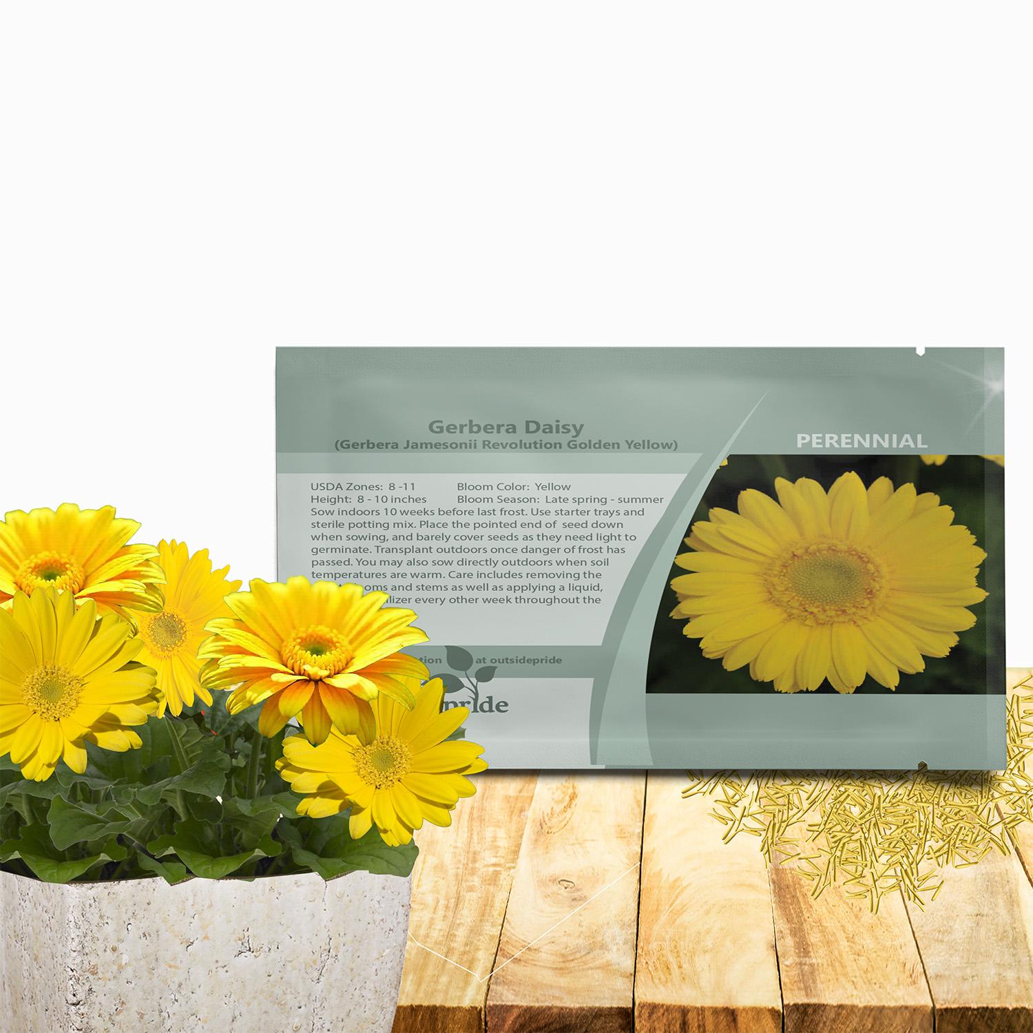 Gerbera Yellow Seed Packets