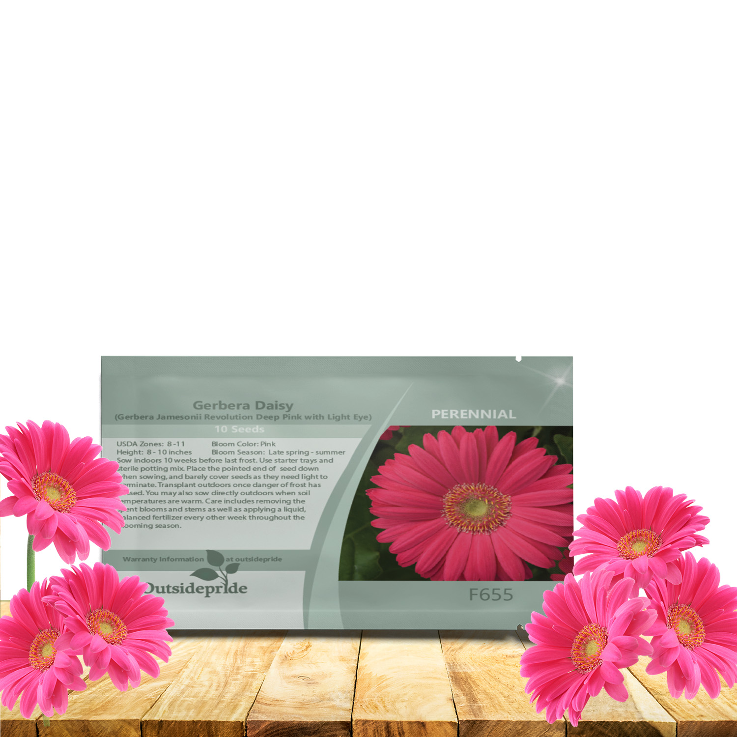 Gerbera Pink Seed Packet