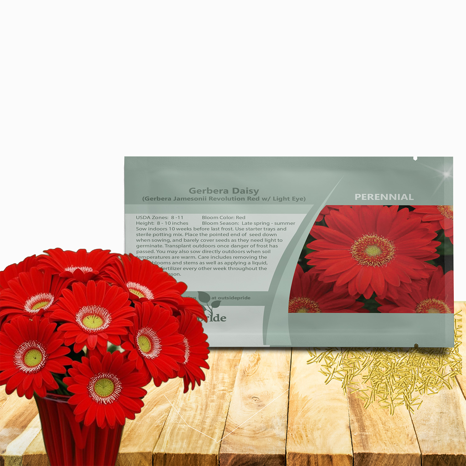 Gerbera Red Flower Seed Packet For Planting