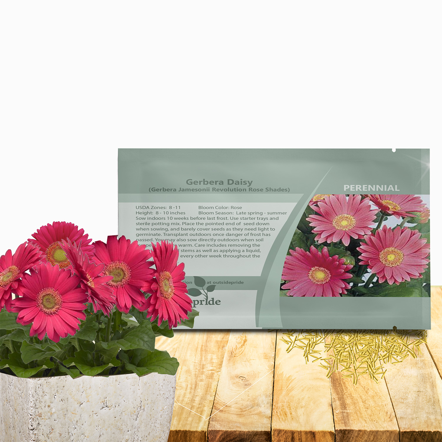 Gerbera Rose Shades Seed Packet For Planting
