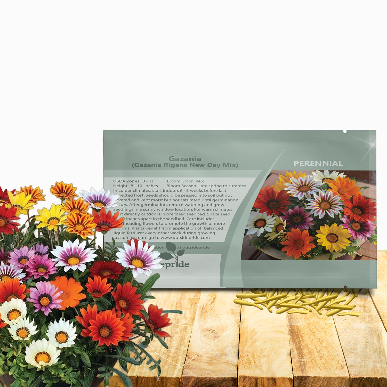 Gazania New Day Flower Seed Packet Mix For Planting