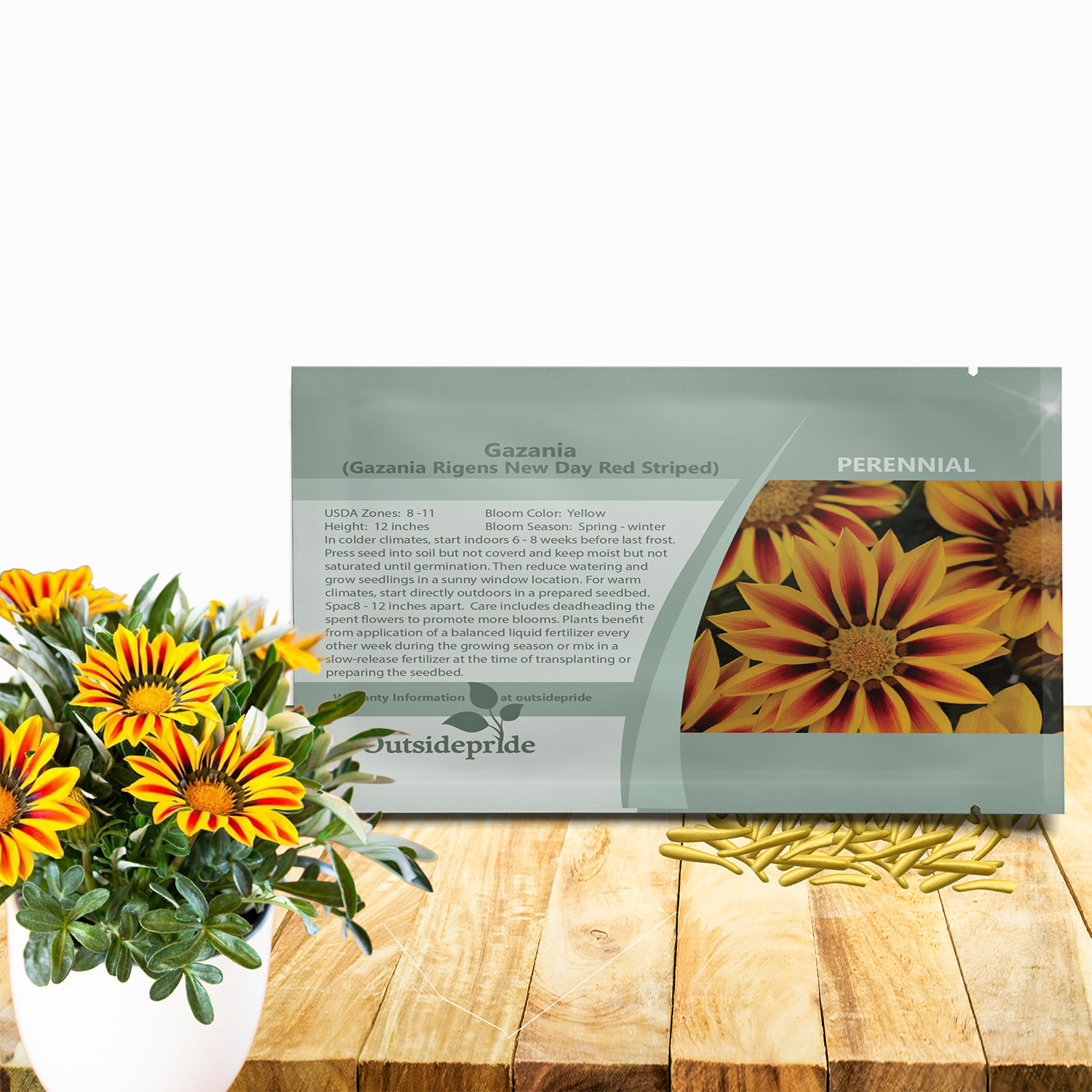 Gazania Red Striped Seed Packet