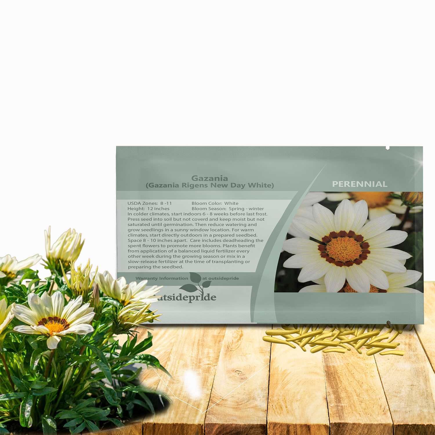 Gazania White Seed Packet For Planting