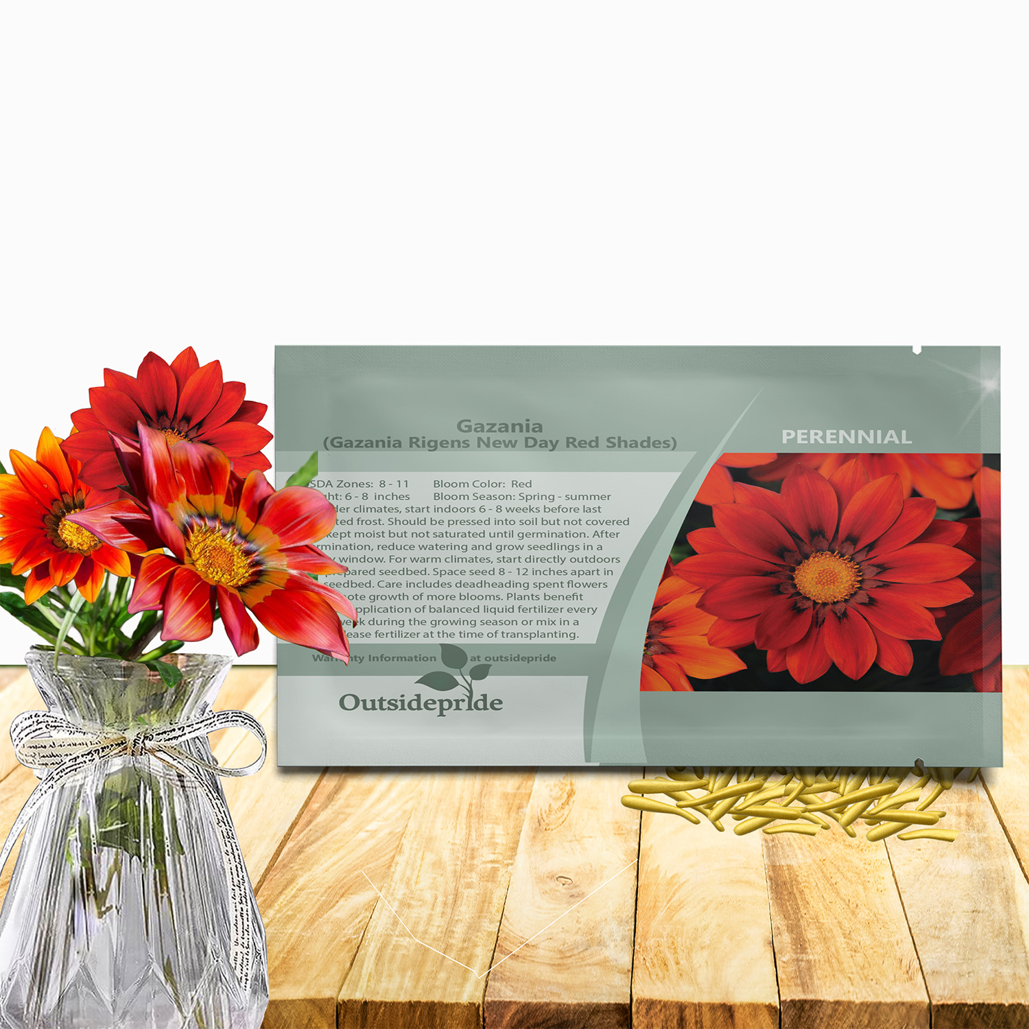 Gazania Red Shades Flower Seed Packet For Planting
