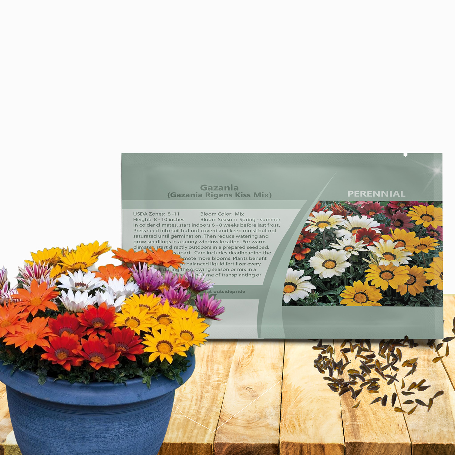 Gazania Kiss Seed Packet Mix