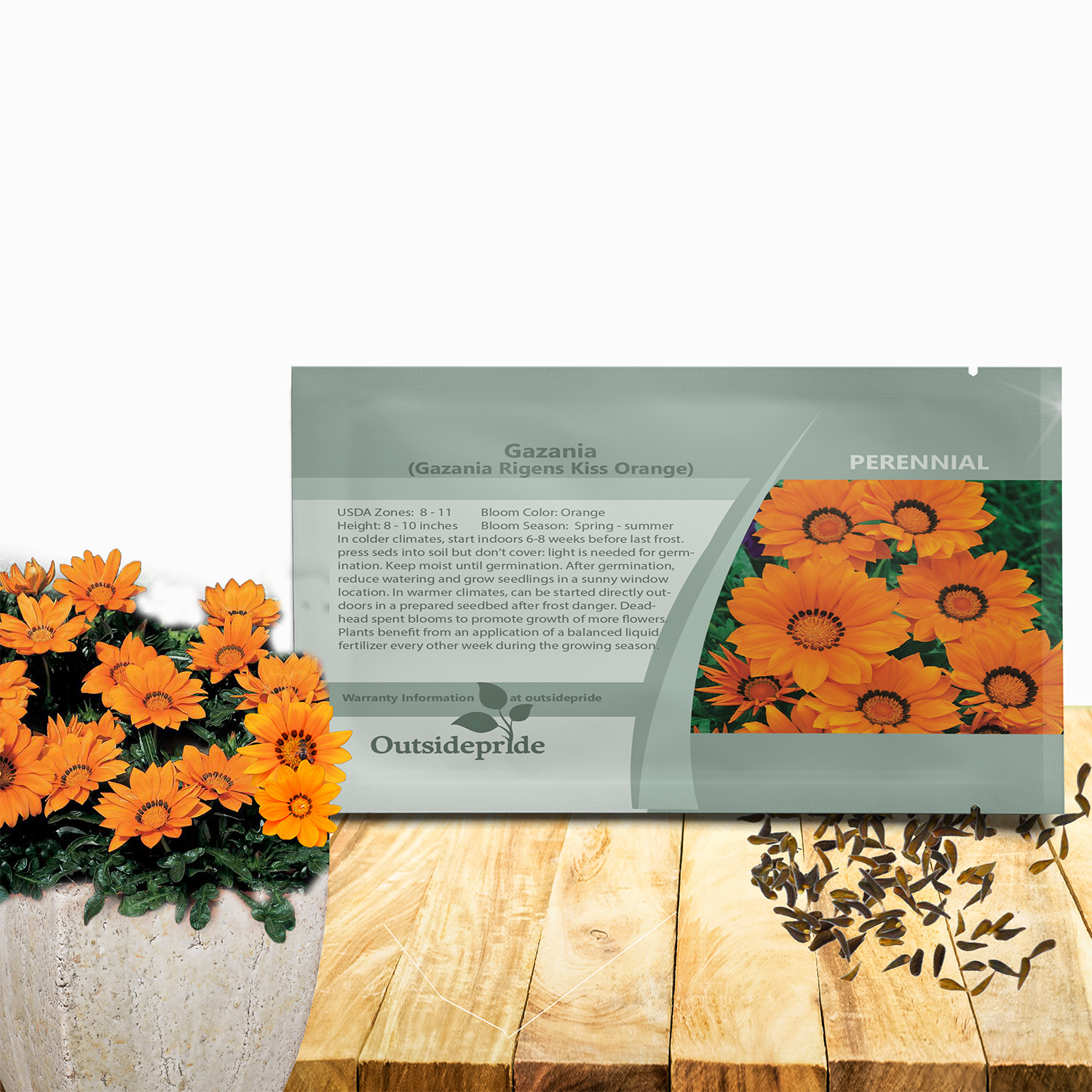 Gazania Kiss Orange Flower Seed Packet For Planting