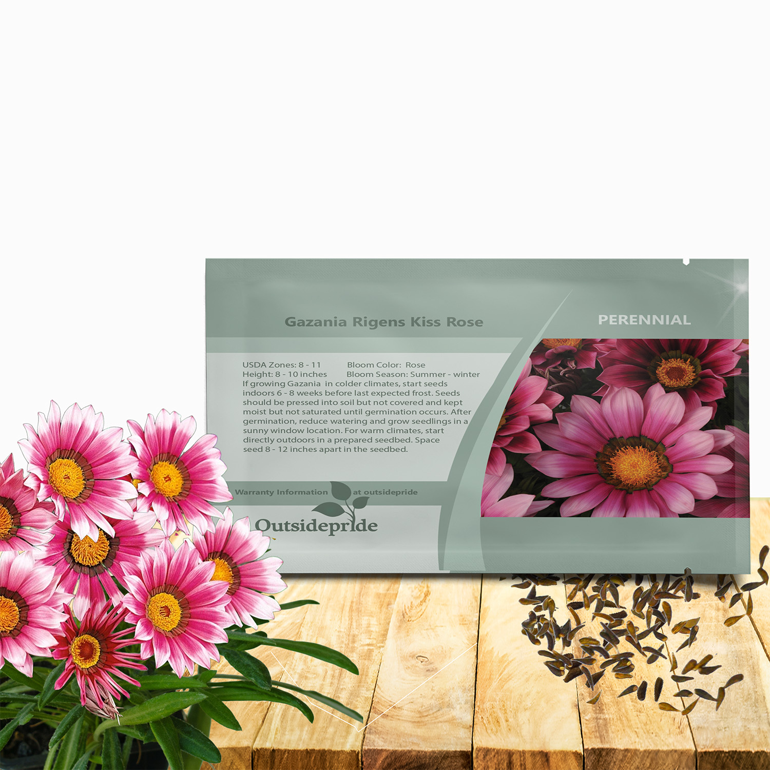 Gazania Kiss Rose Flower Seed Packet For Planting