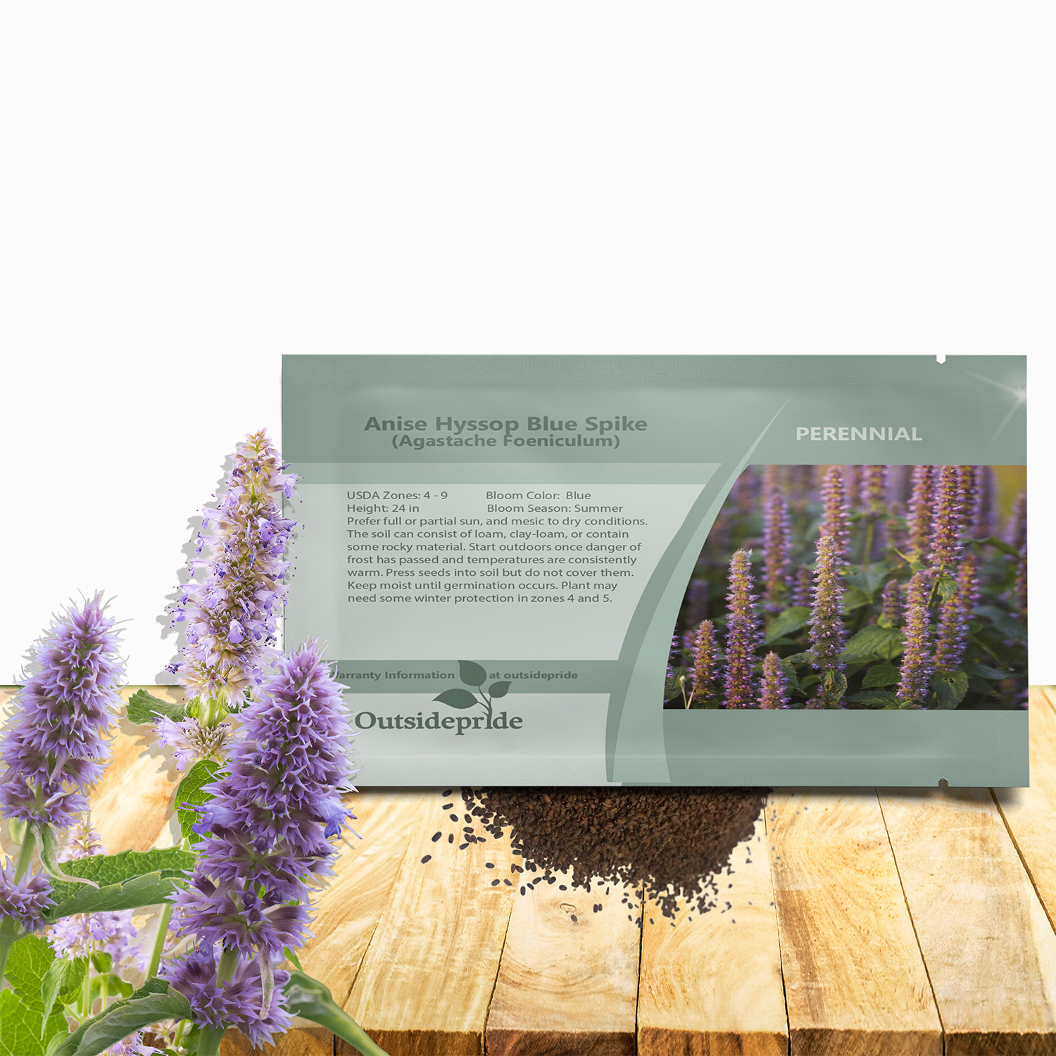Agastache Foeniculum Blue Spike Seed Packet