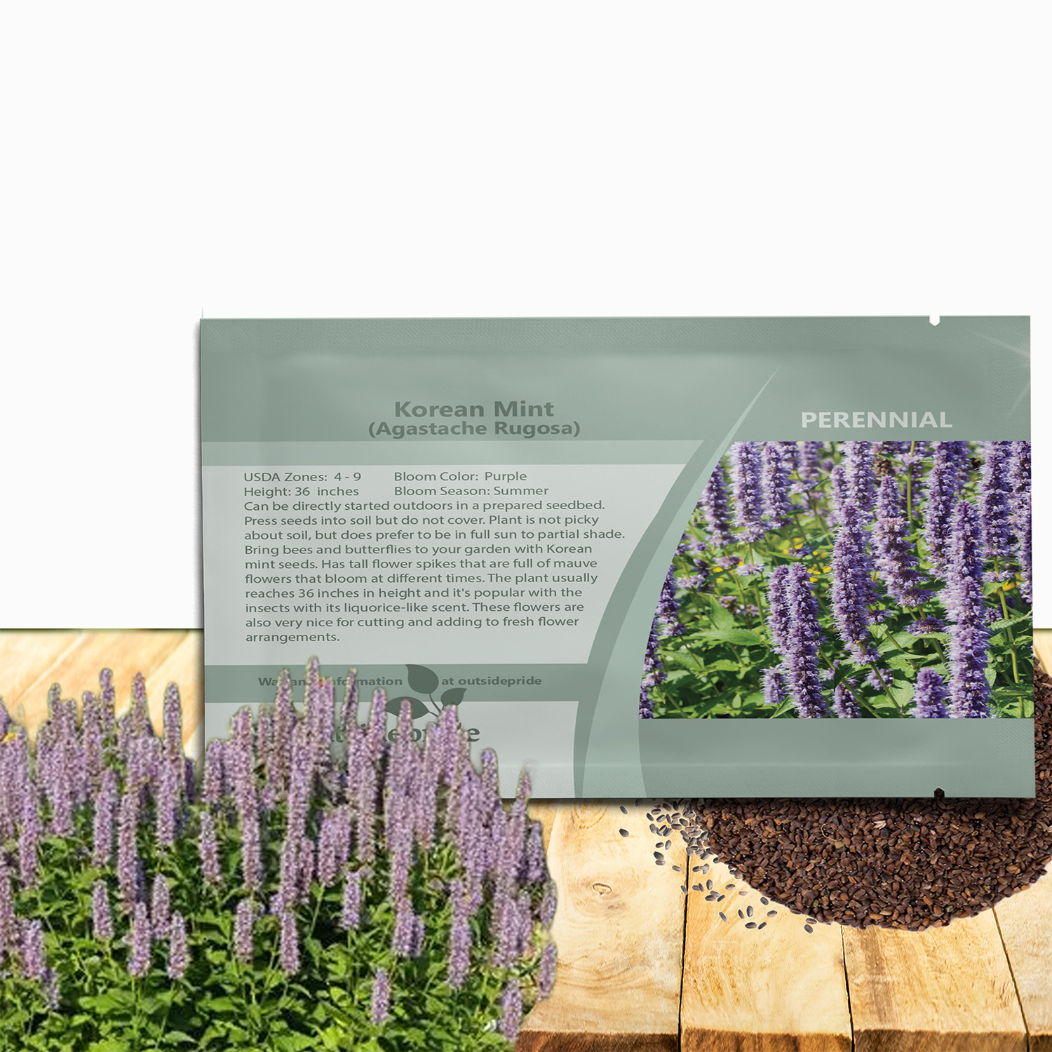 Agastache Rugosa Seed Packet For Planting
