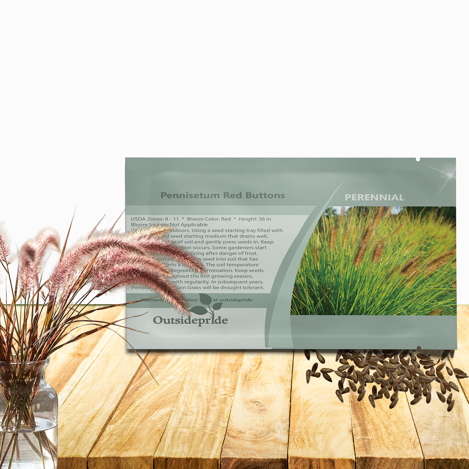 Pennisetum Red Buttons Seed Packet