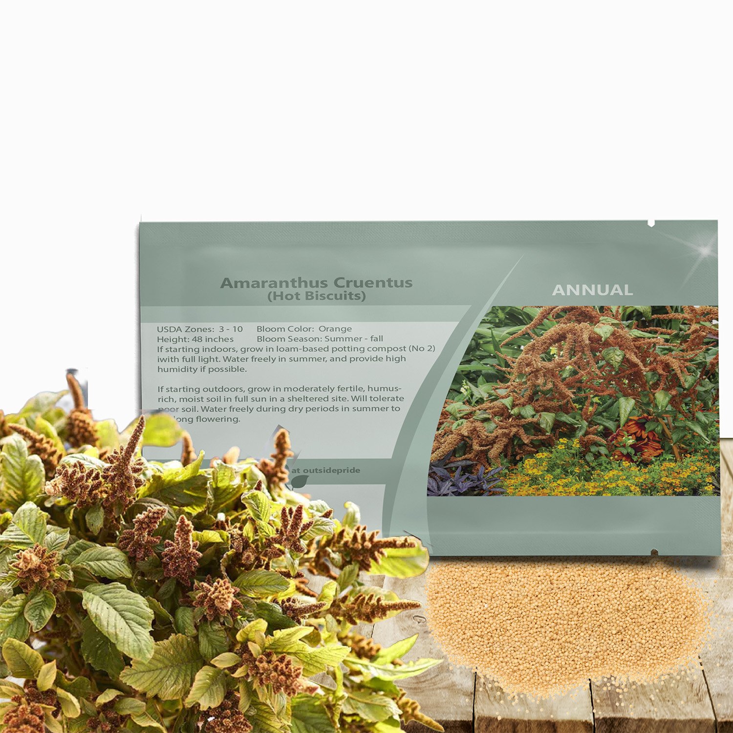 Amaranthus Hot Biscuits Seed Packet