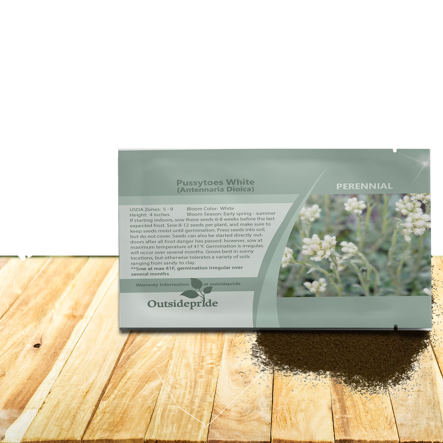 Antennaria White Ground Cover Seed Packet