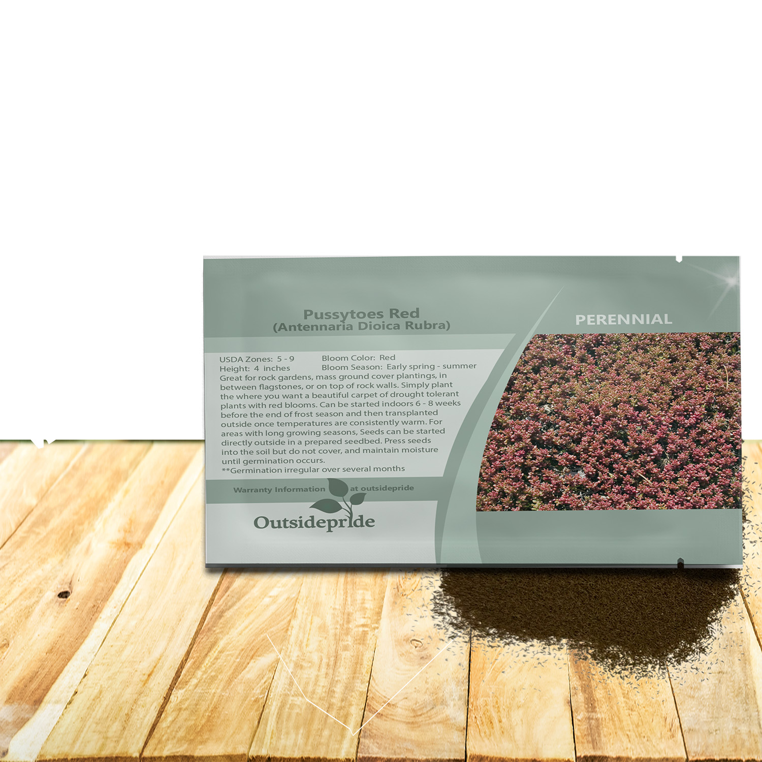 Antennaria Rubra Ground Cover Seed Packet