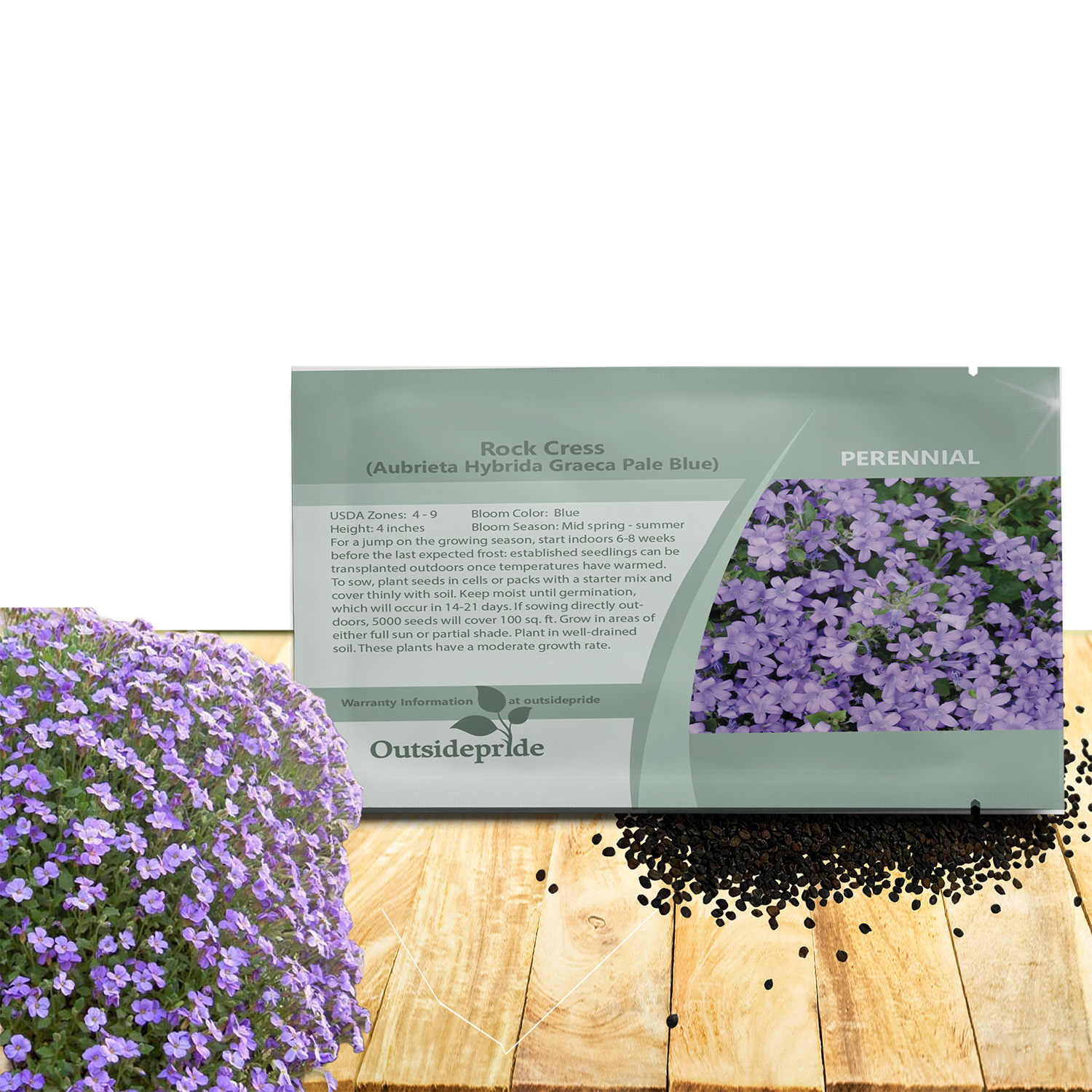 Low Growing Rock Cress Pale Blue Seed Packet