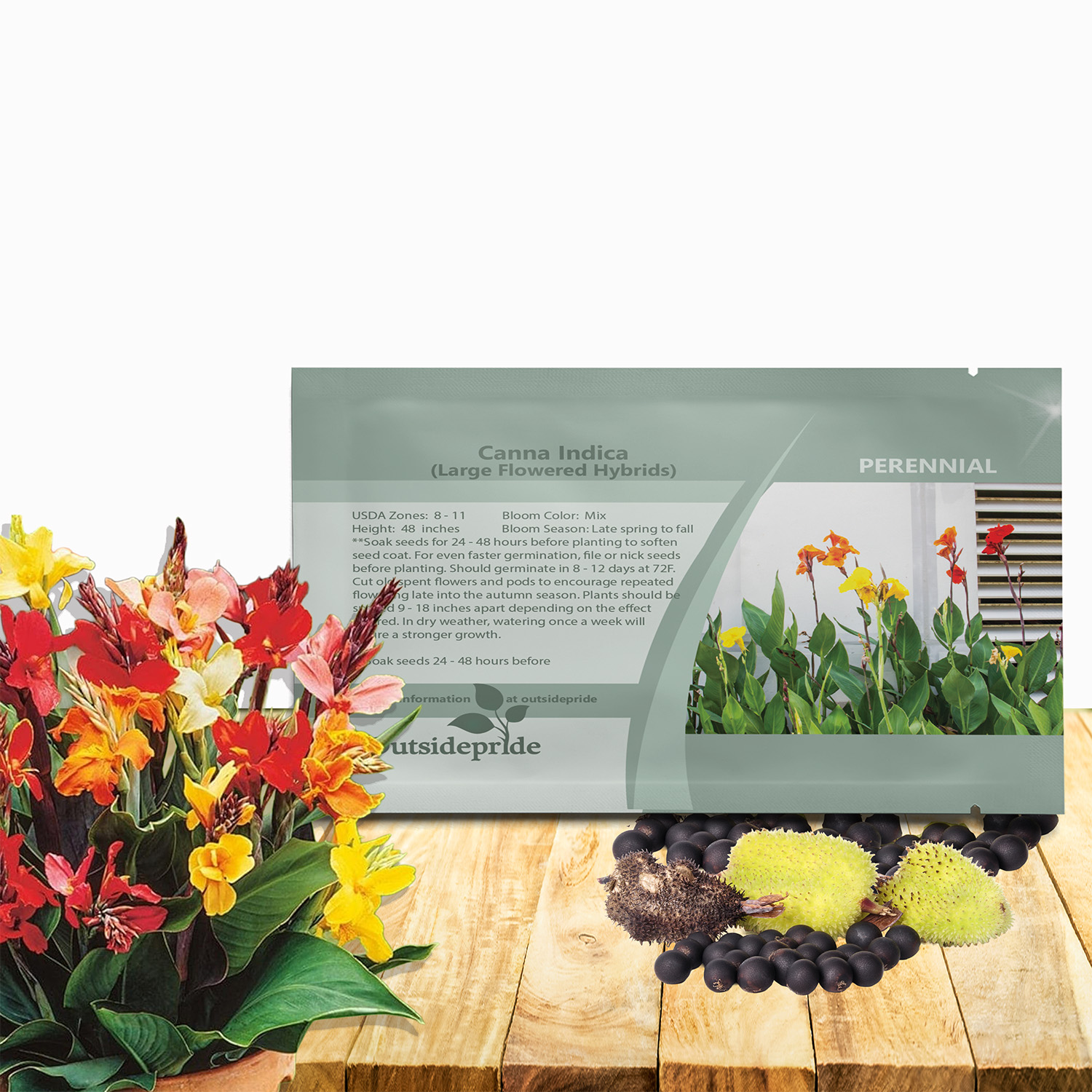 Canna Indica Flower Seed Packet For Planting