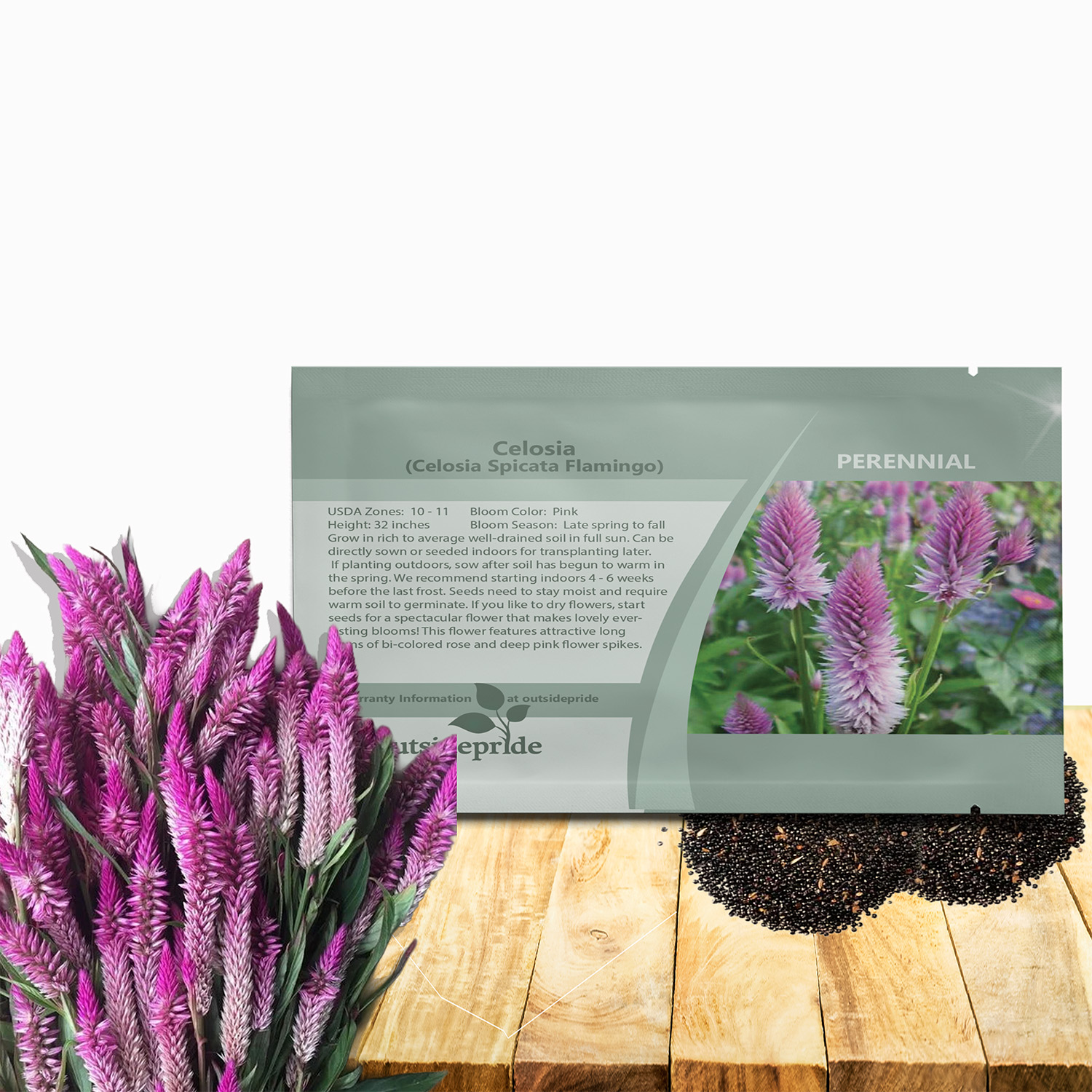 Celosia Spicata Flamingo Seed Packet
