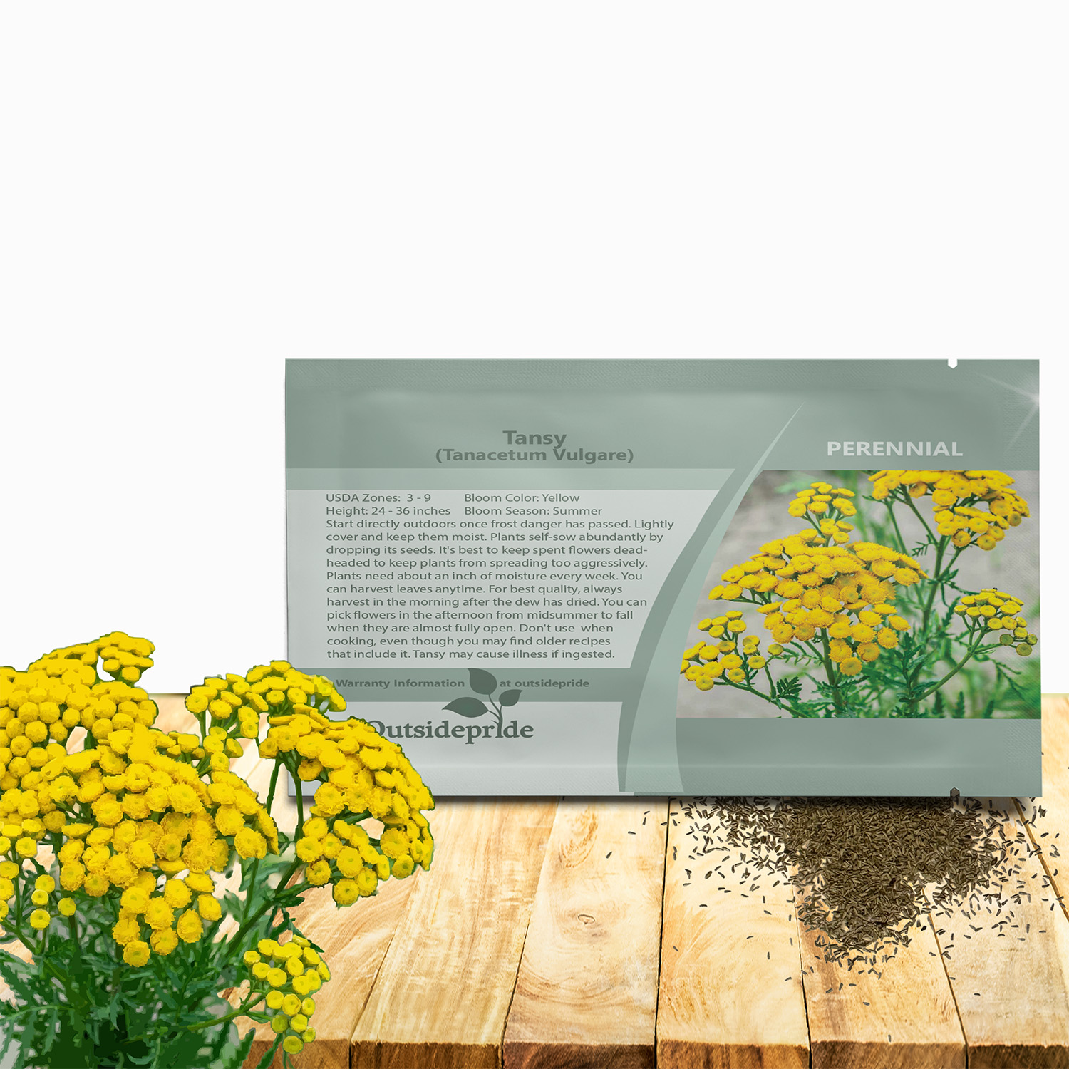 Tansy Flower Seeds For Planting