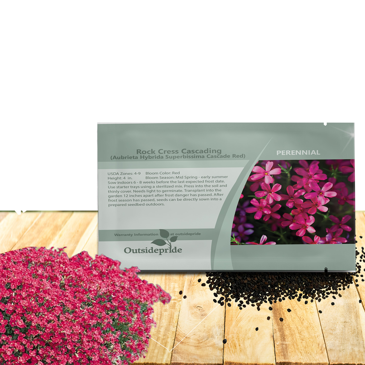 Aubrieta Rock Cress Cascade Red Seed Packet