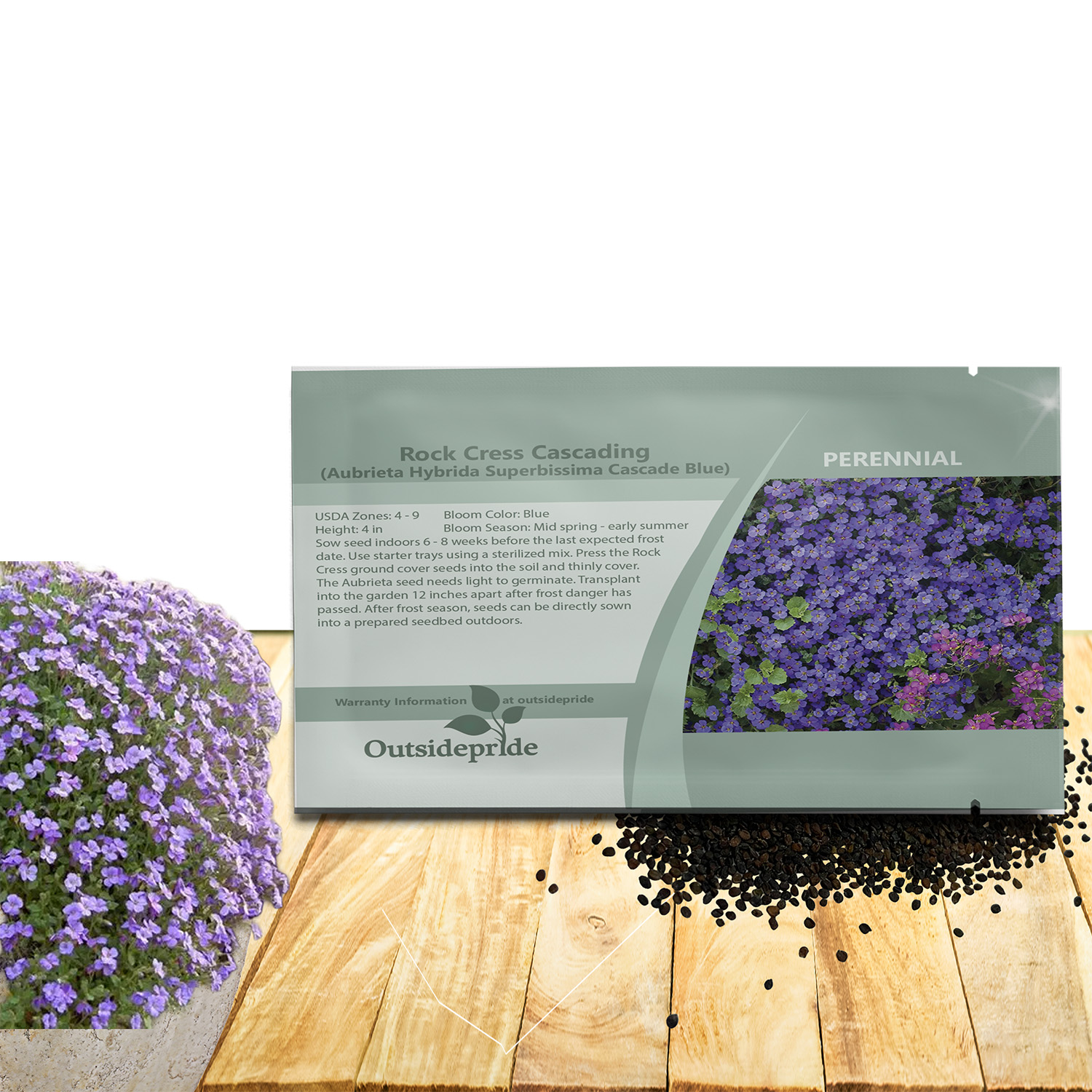 Rock Cress Cascade Blue Seed Packet