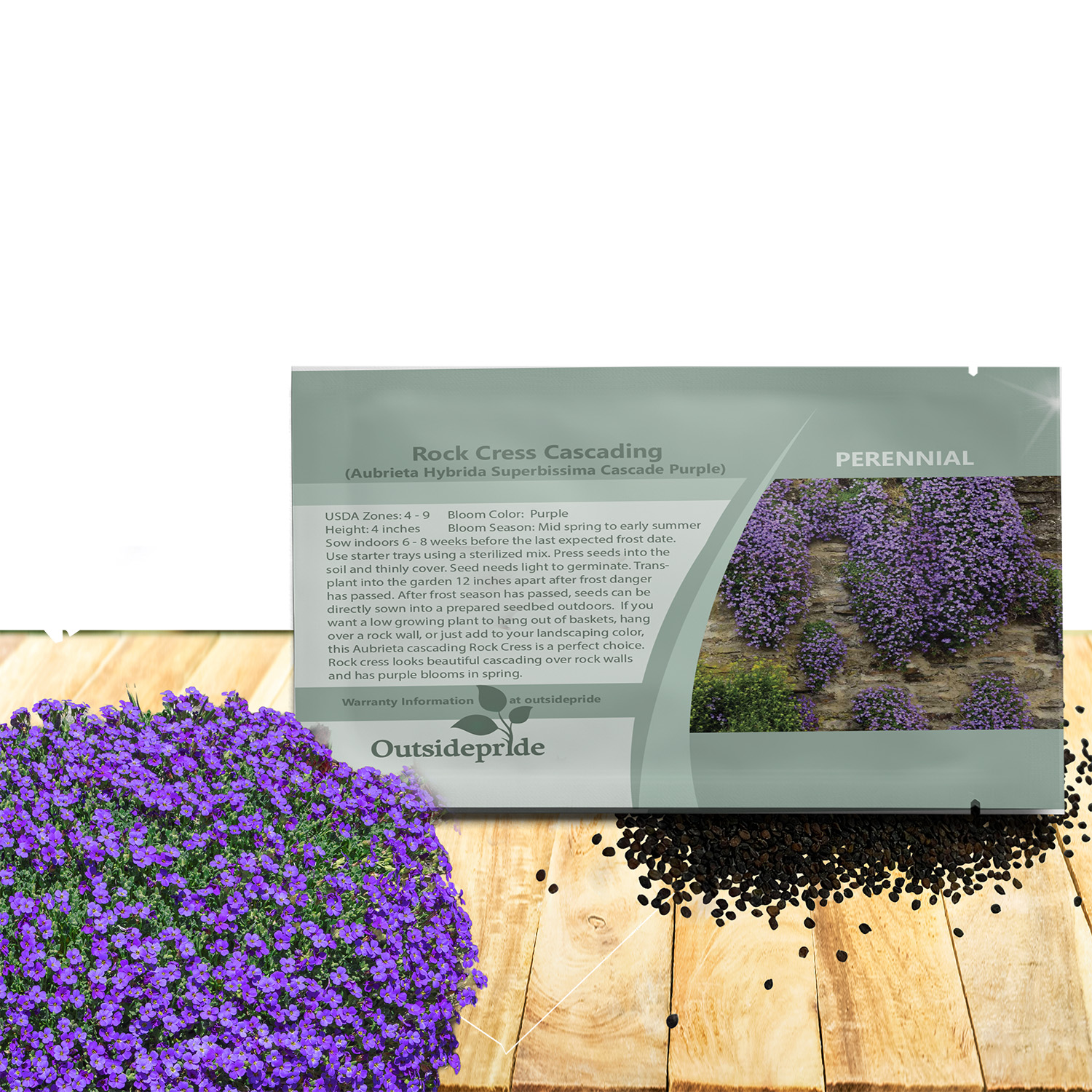 Rock Cress Cascade Purple Seed Packet