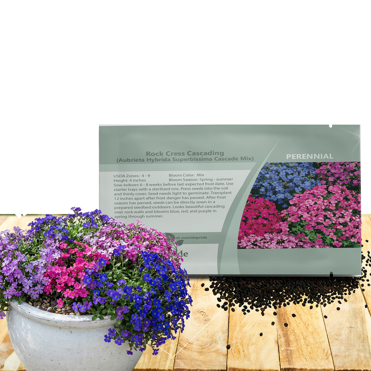 Aubrieta Rock Cress Cascade Seed Packet Mix