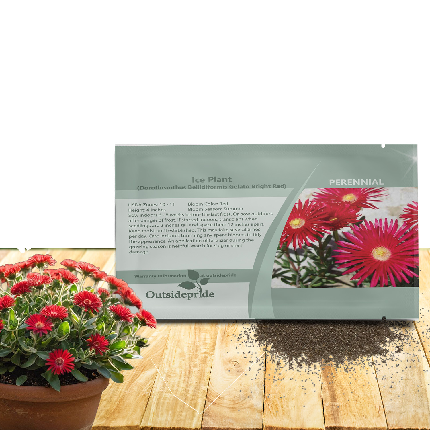 Ice Plant Red Groundcover Seed Packet
