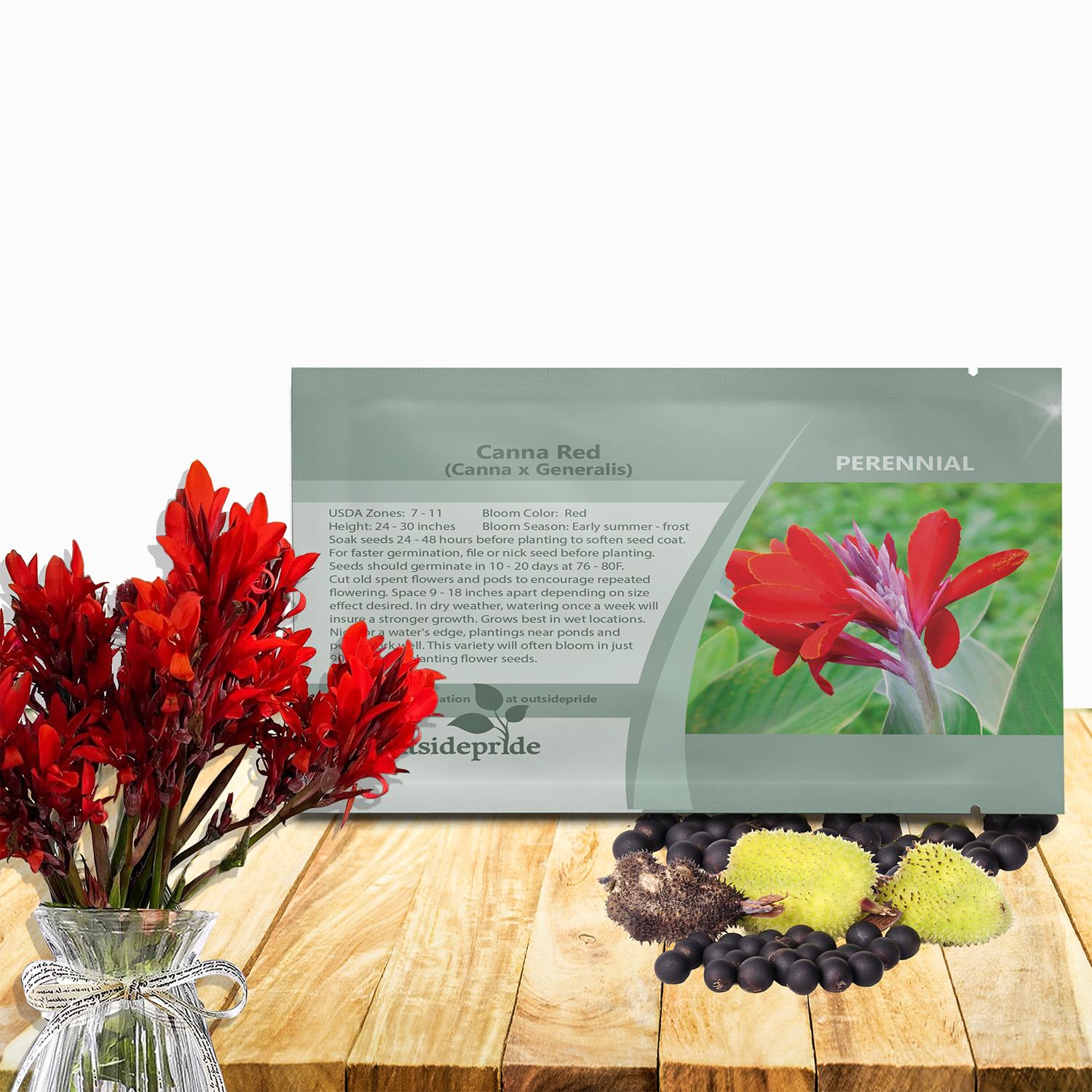 Canna Red Flower Seed Packet For Planting