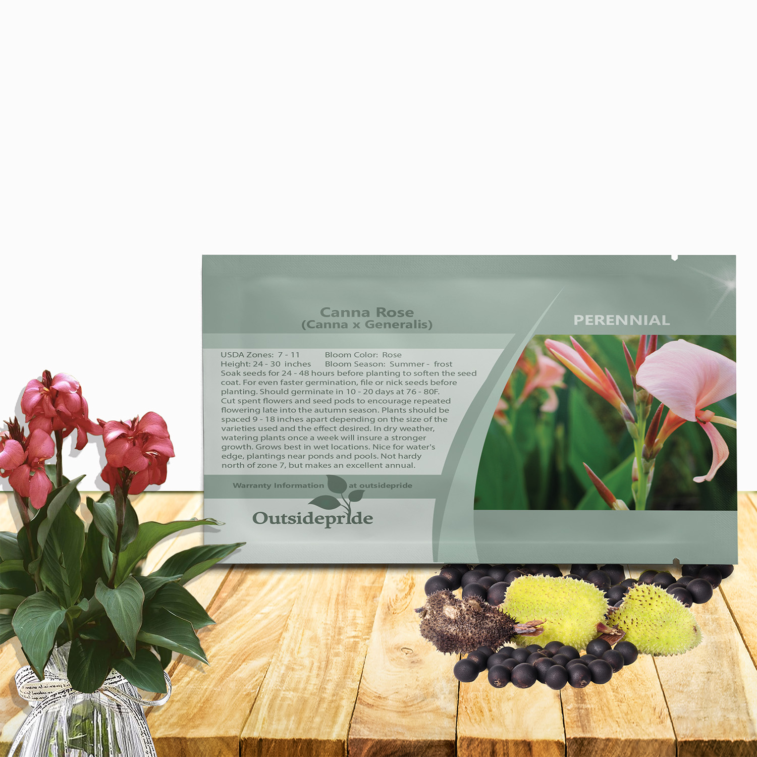 Canna Rose Flower Seed Packet For Planting