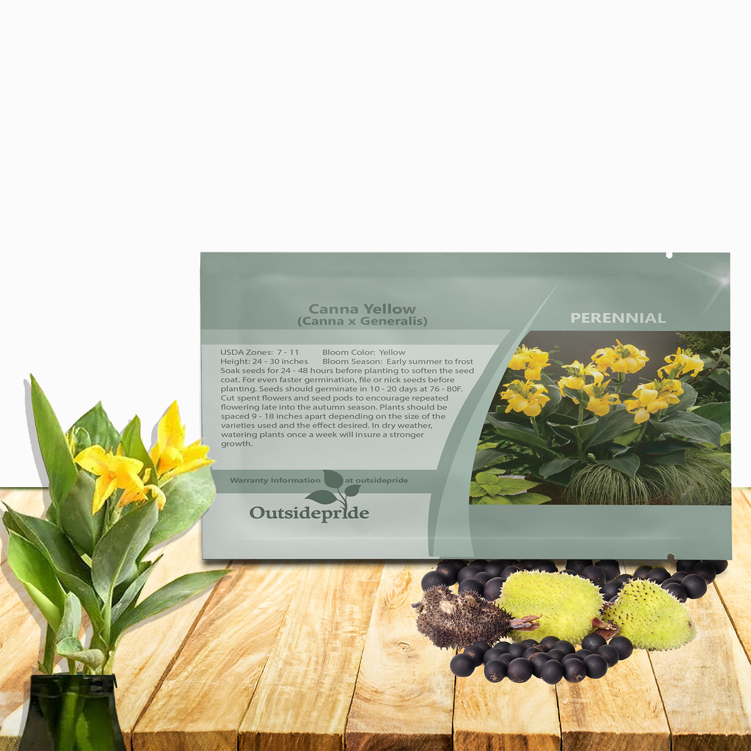 Perennial Canna Yellow Seed Packet For Planting