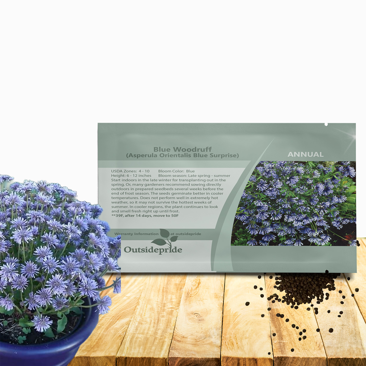 Blue Woodruff Herb Seed Packet For Planting