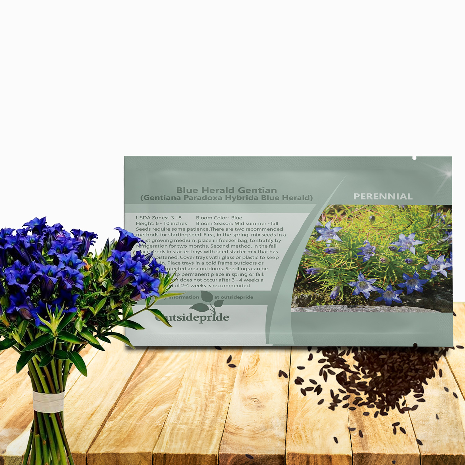 Blue Herald Gentian Herb Seed Packet For Planting