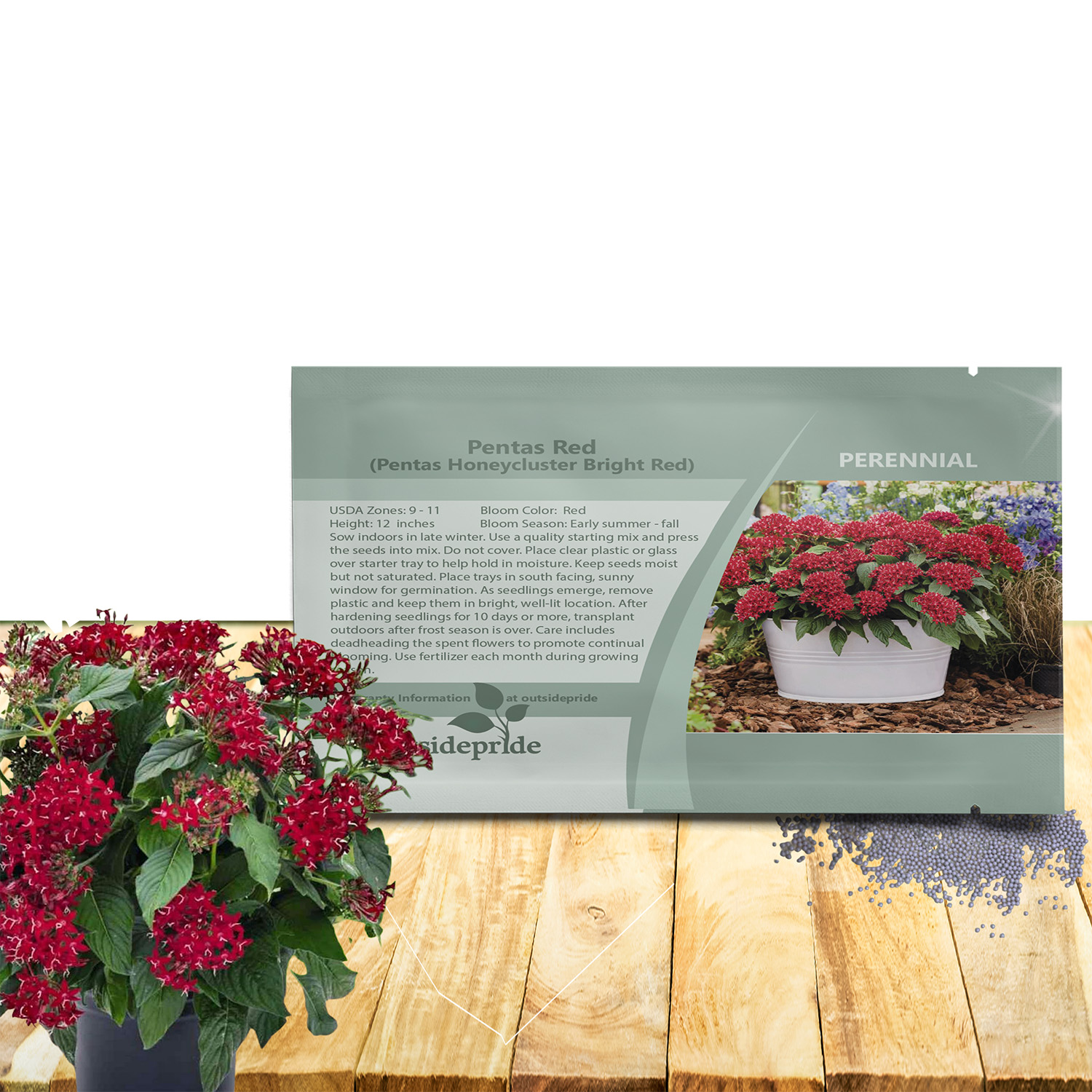 Pentas Red Flower Seed Packet For Planting