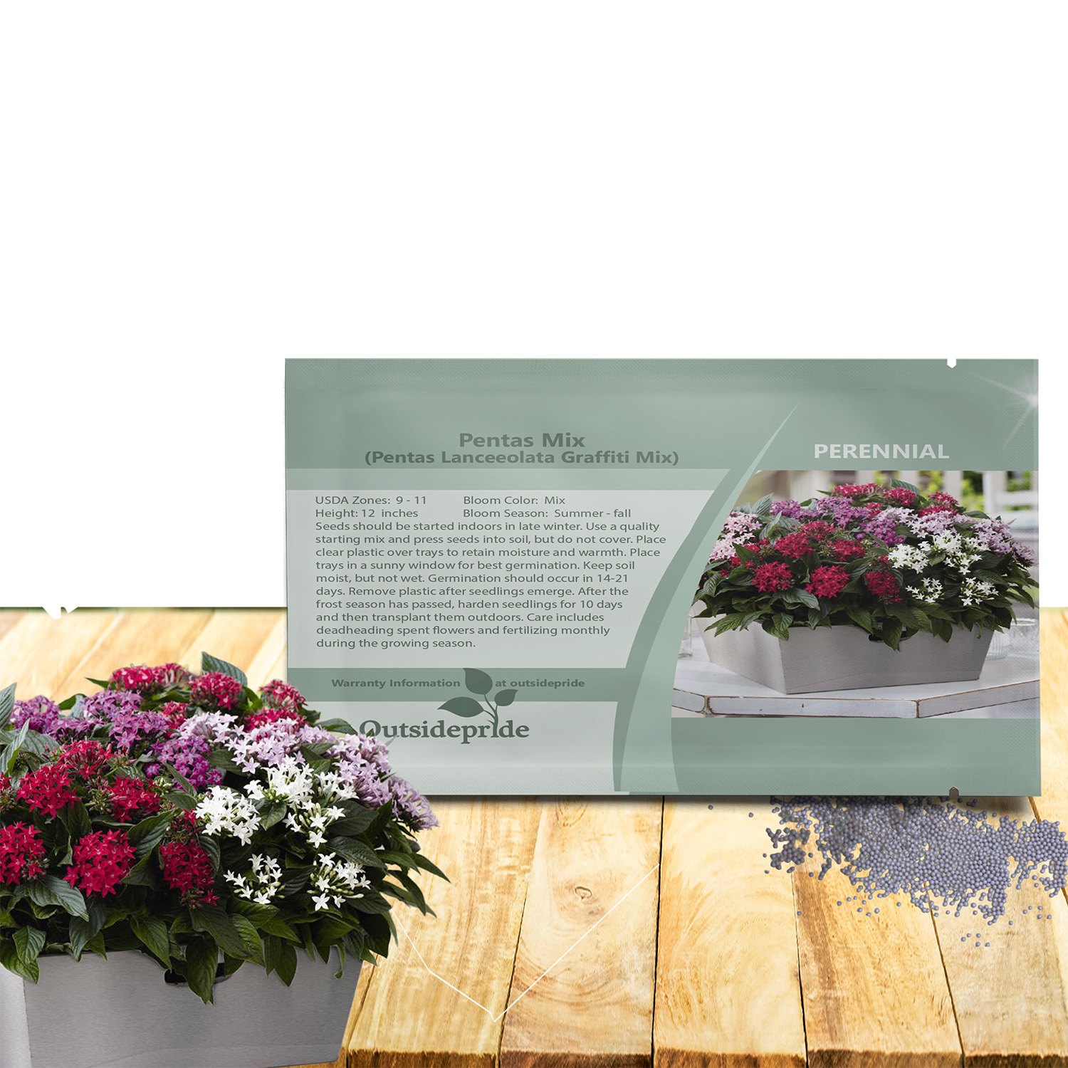 Pentas Flower Seed Mix Packet