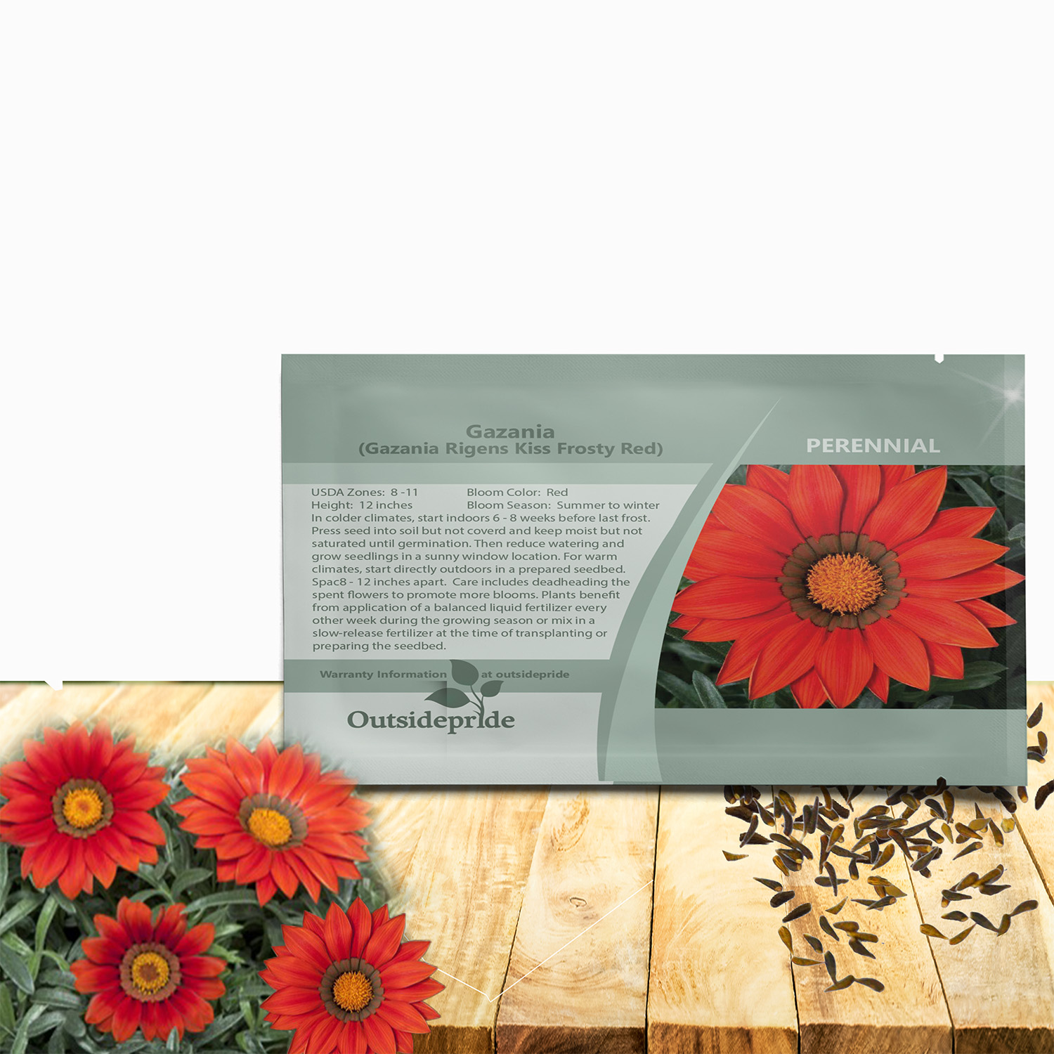 Gazania Kiss Frosty Red Seed Packet