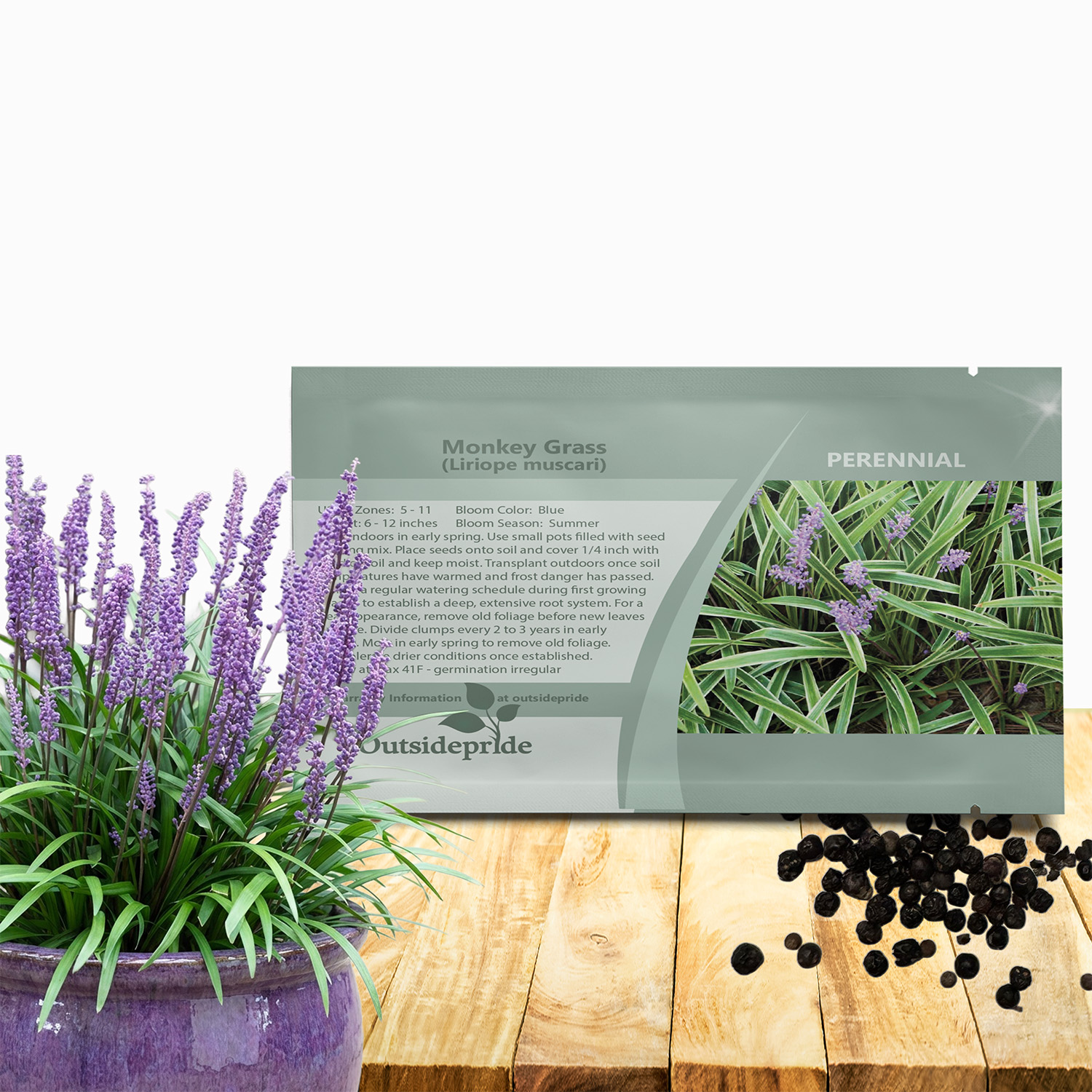 Liriope muscari Monkey Grass Seed Packet