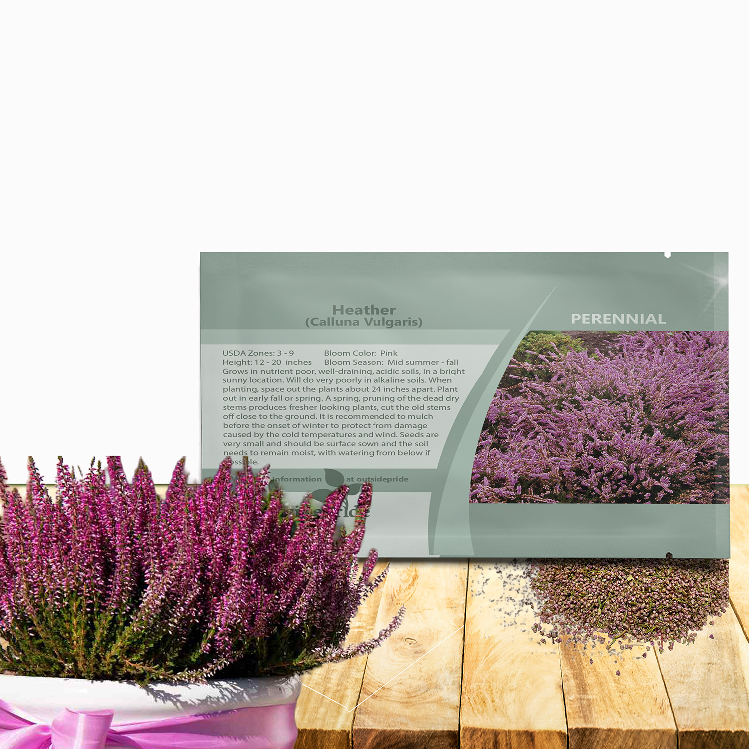 Heather Flower Seed For Planting