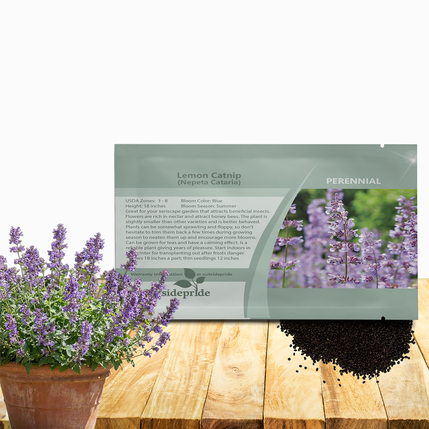 Lemon Catnip Seed Packet