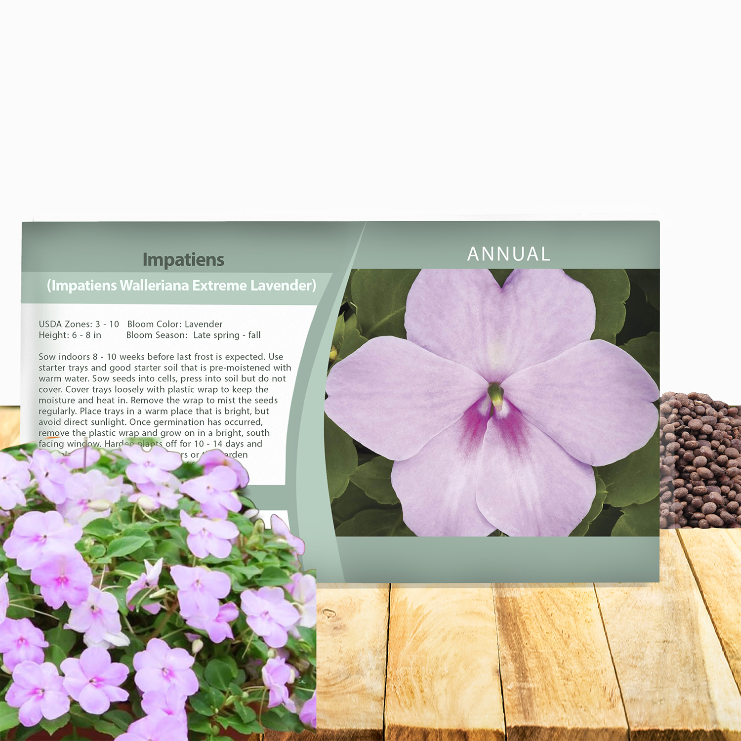 Impatiens Lavender Seed Packet