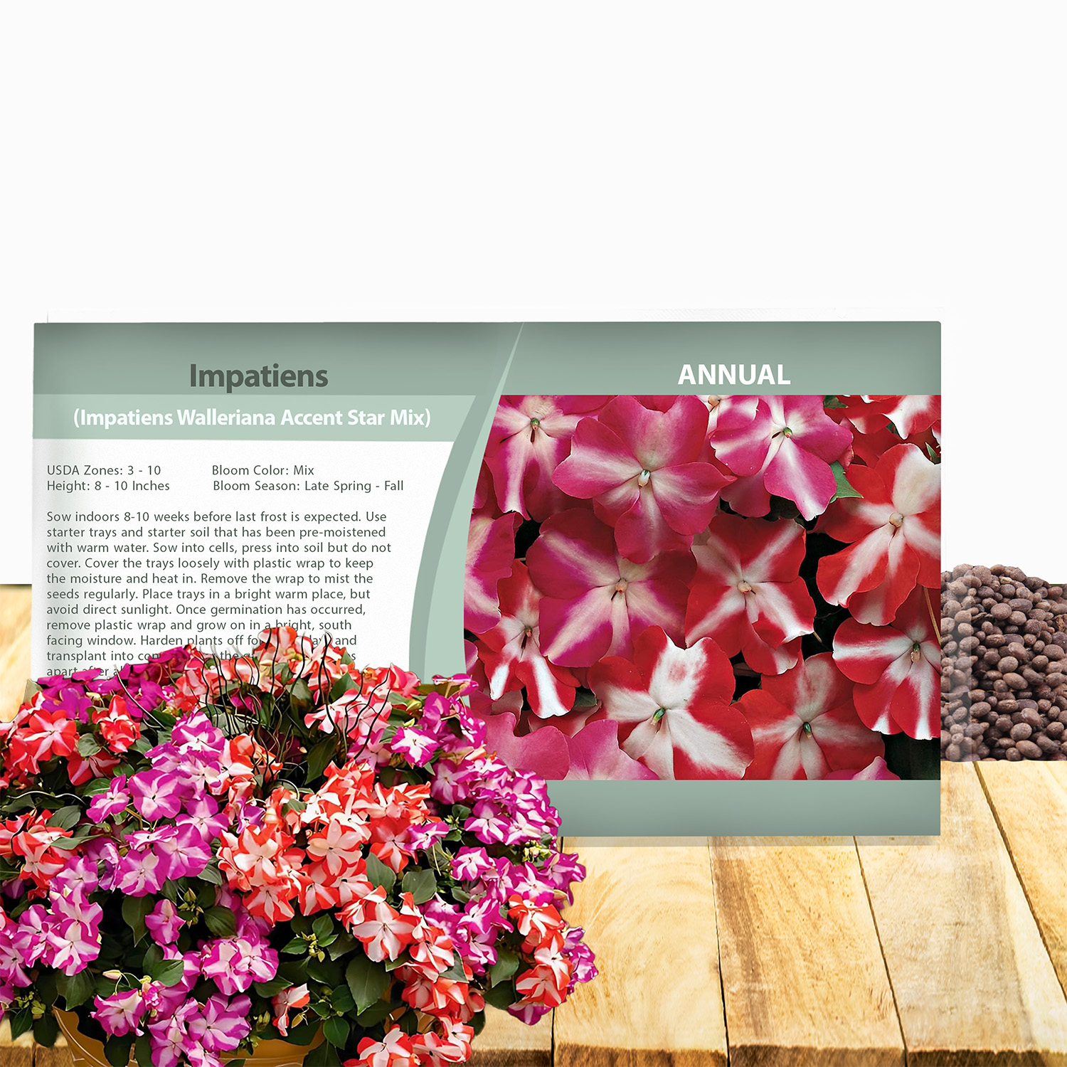 Impatiens Star Garden Seed Packet
